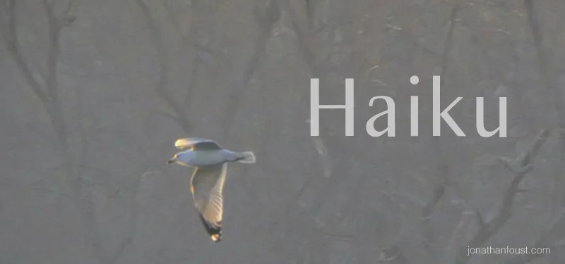 youfly1.jpg