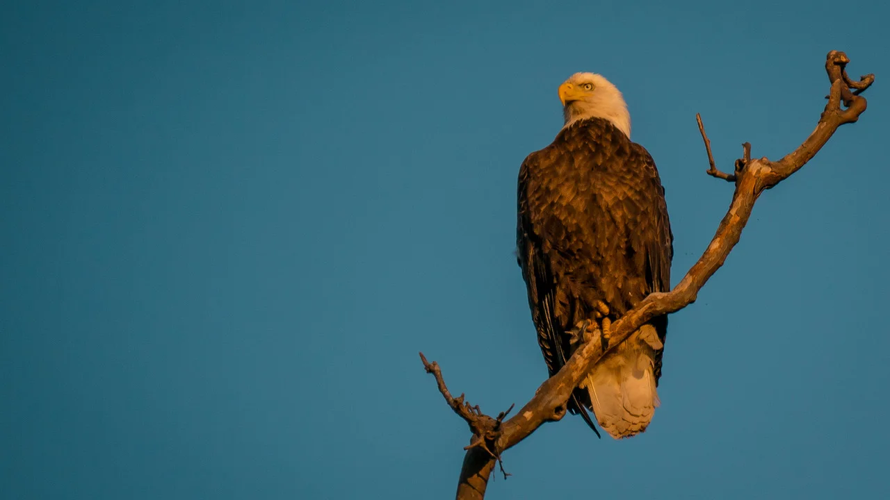 The Paradox of Your Awakening