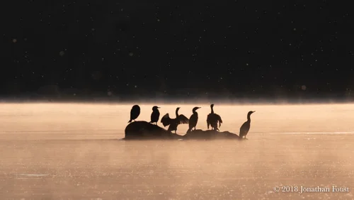 The Art of Non-Fixing