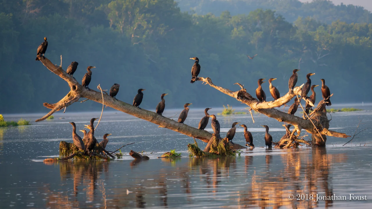 How Company is Stronger Than Will Power