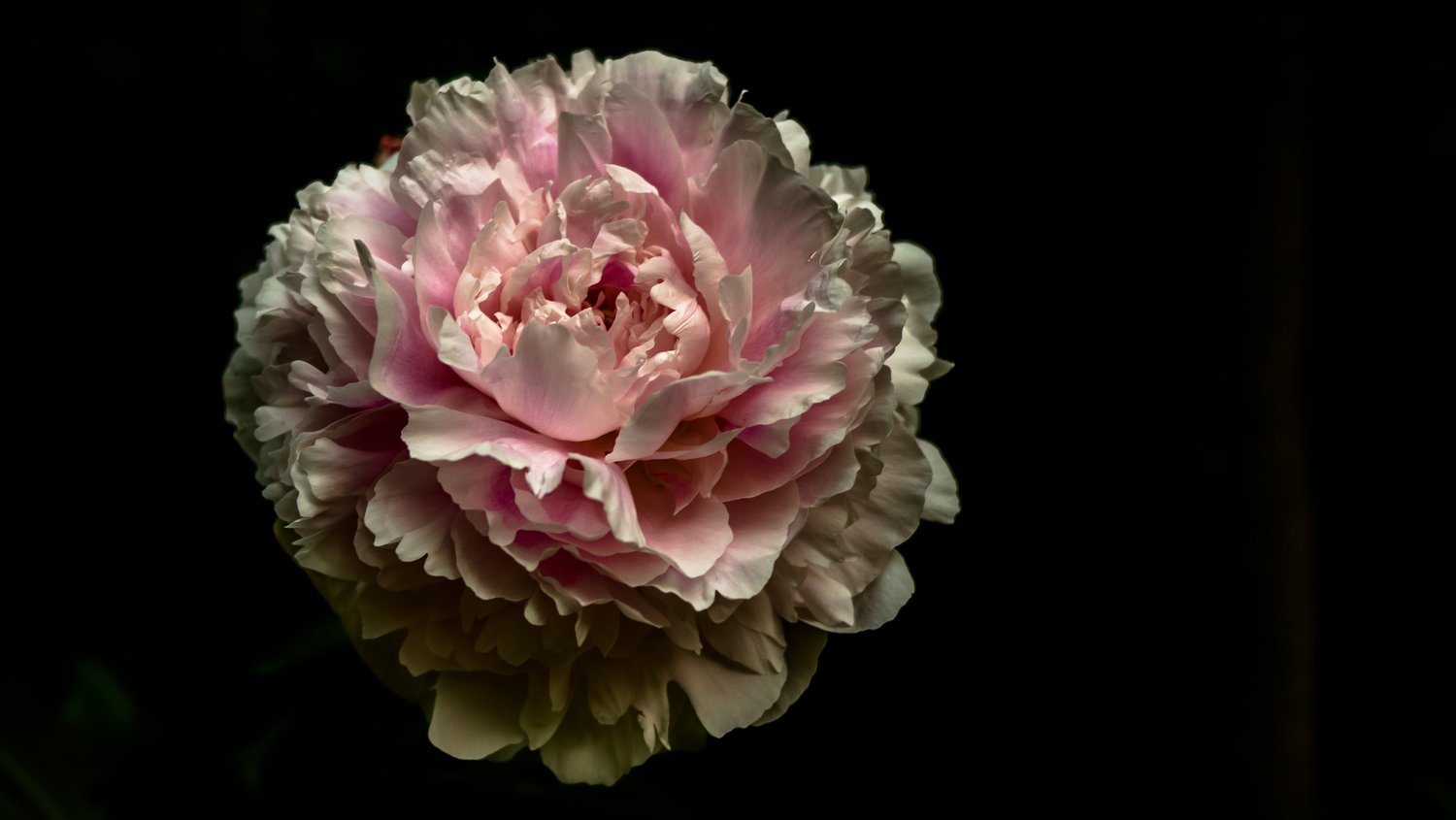 Offerings — Jonathan Foust