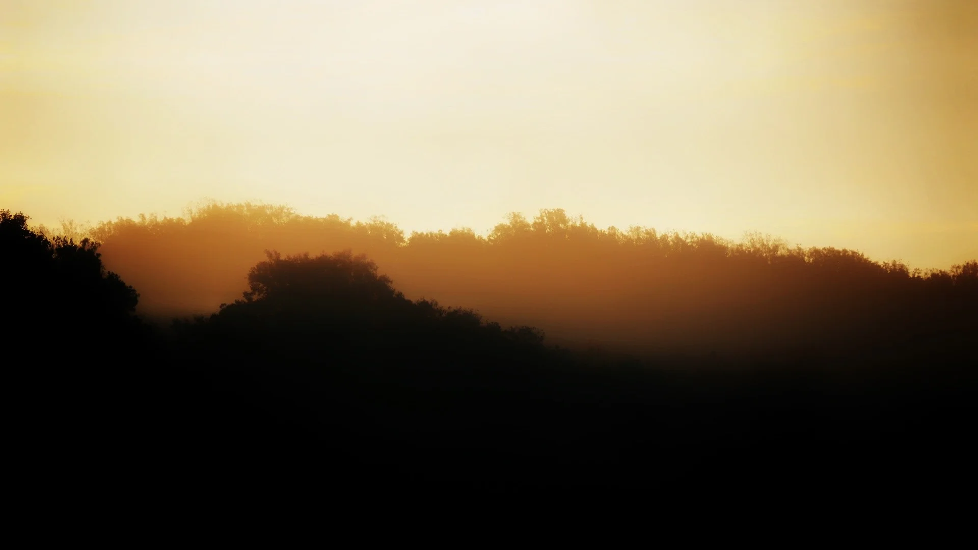 Meditation:   Amplify the Wholesome and Open Focus with Loving Kindness  (Retreat Meditation - 45 minutes)