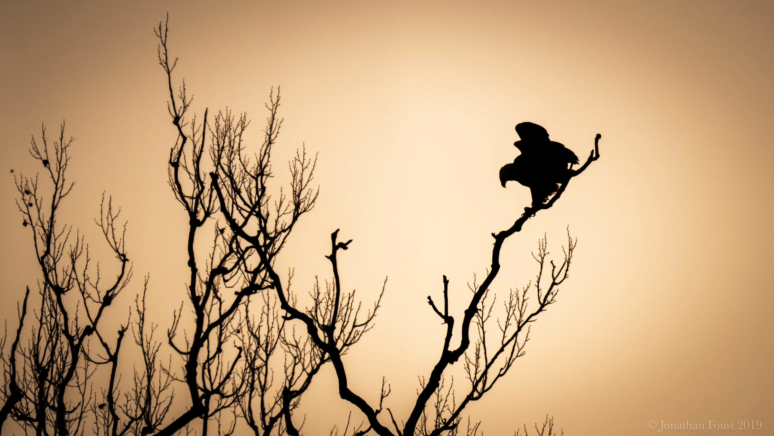 Getting Real About What You Really Want