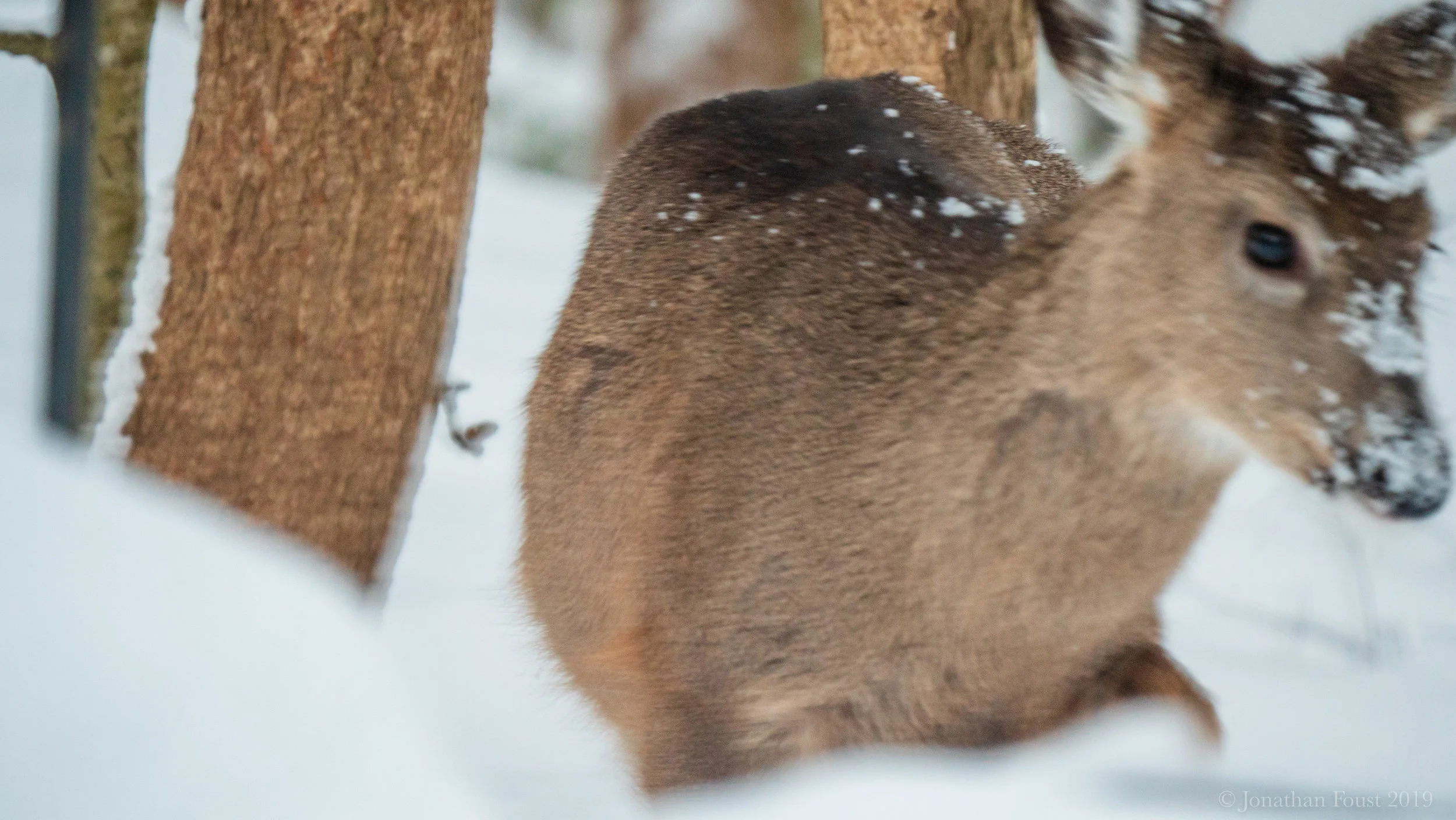 The Wise Heart’s Response to Suffering (Retreat Talk)