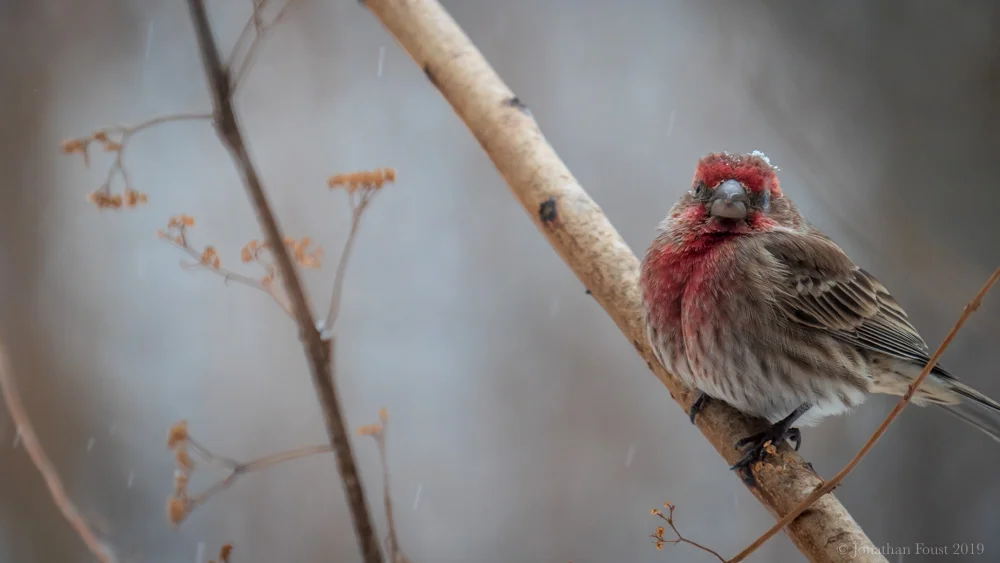 The Art of Starting Again