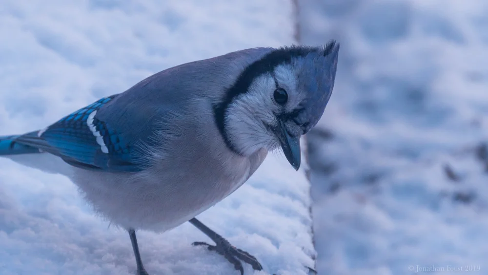 Ways to be with Pain, Part 1