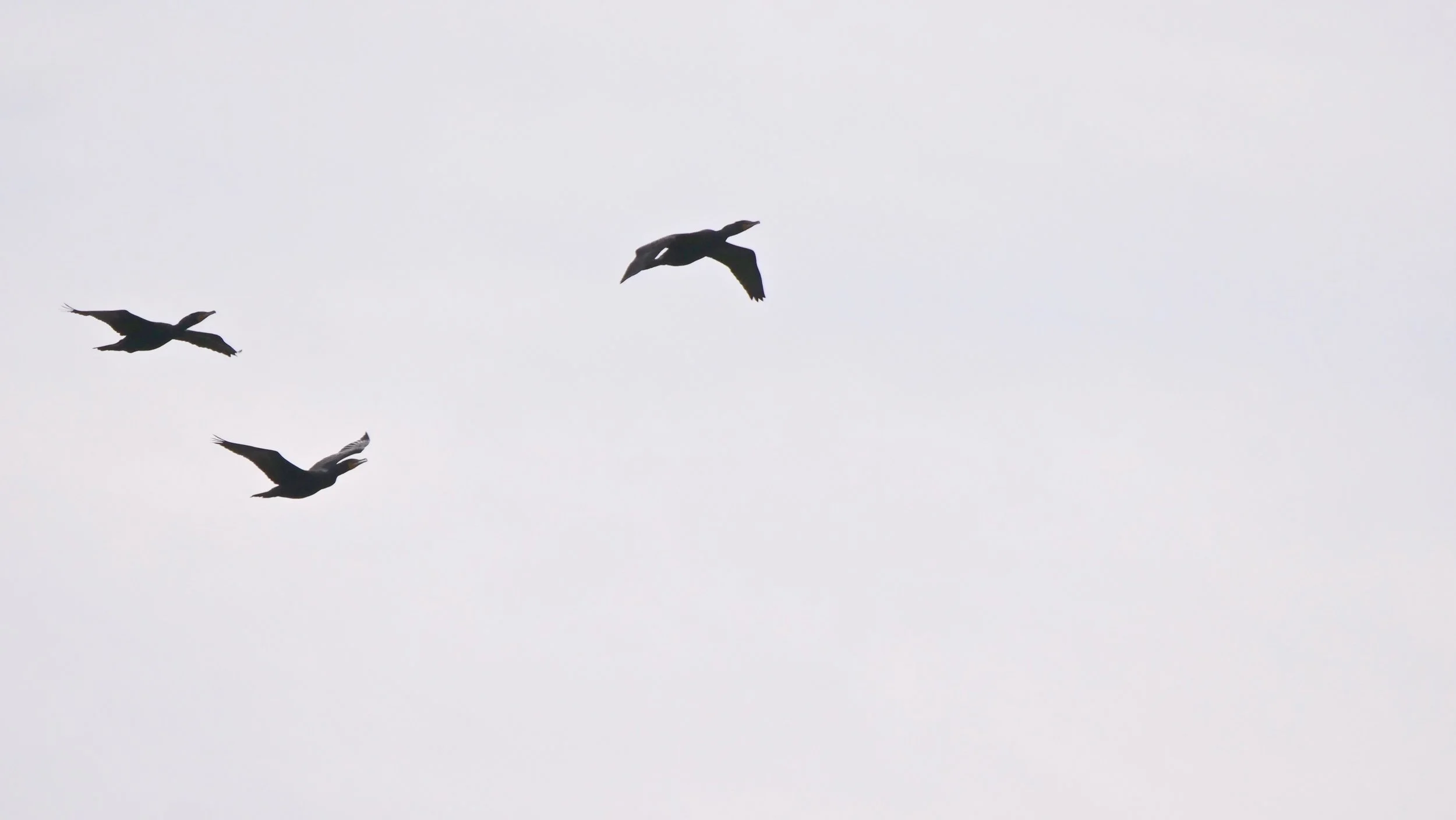 On Healing and Feeling Whole