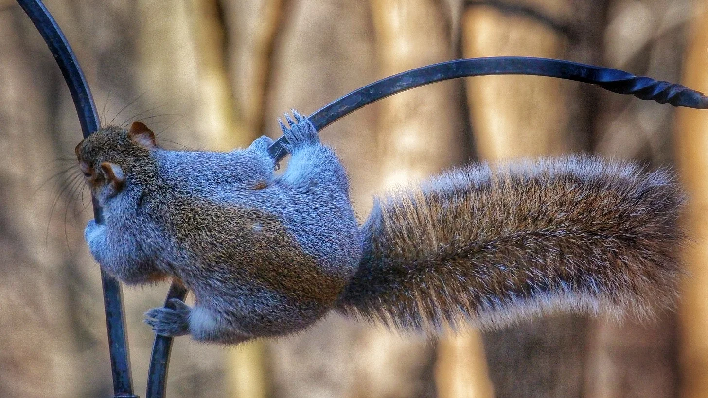 The Quickest Way to Be Happy