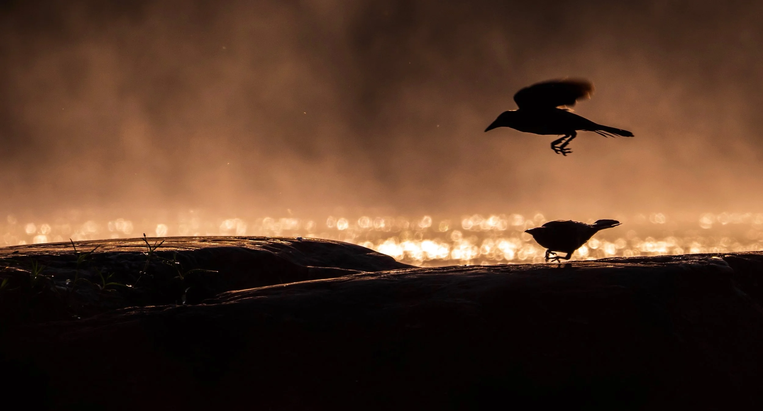 Working with a Jealous Mind