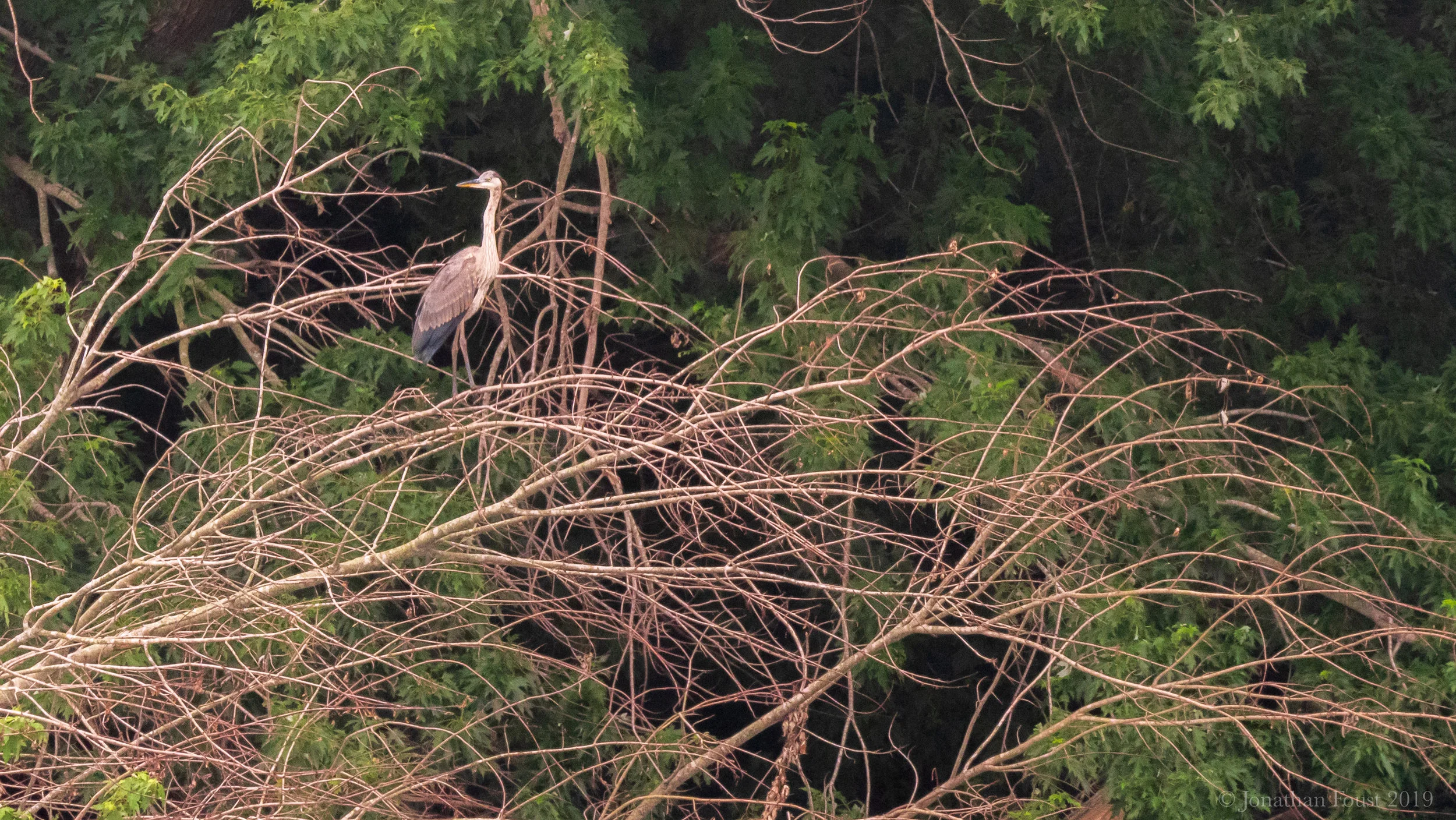 Meditation:  Retreat Instructions, Day 5:  Arriving and Opening to Flow