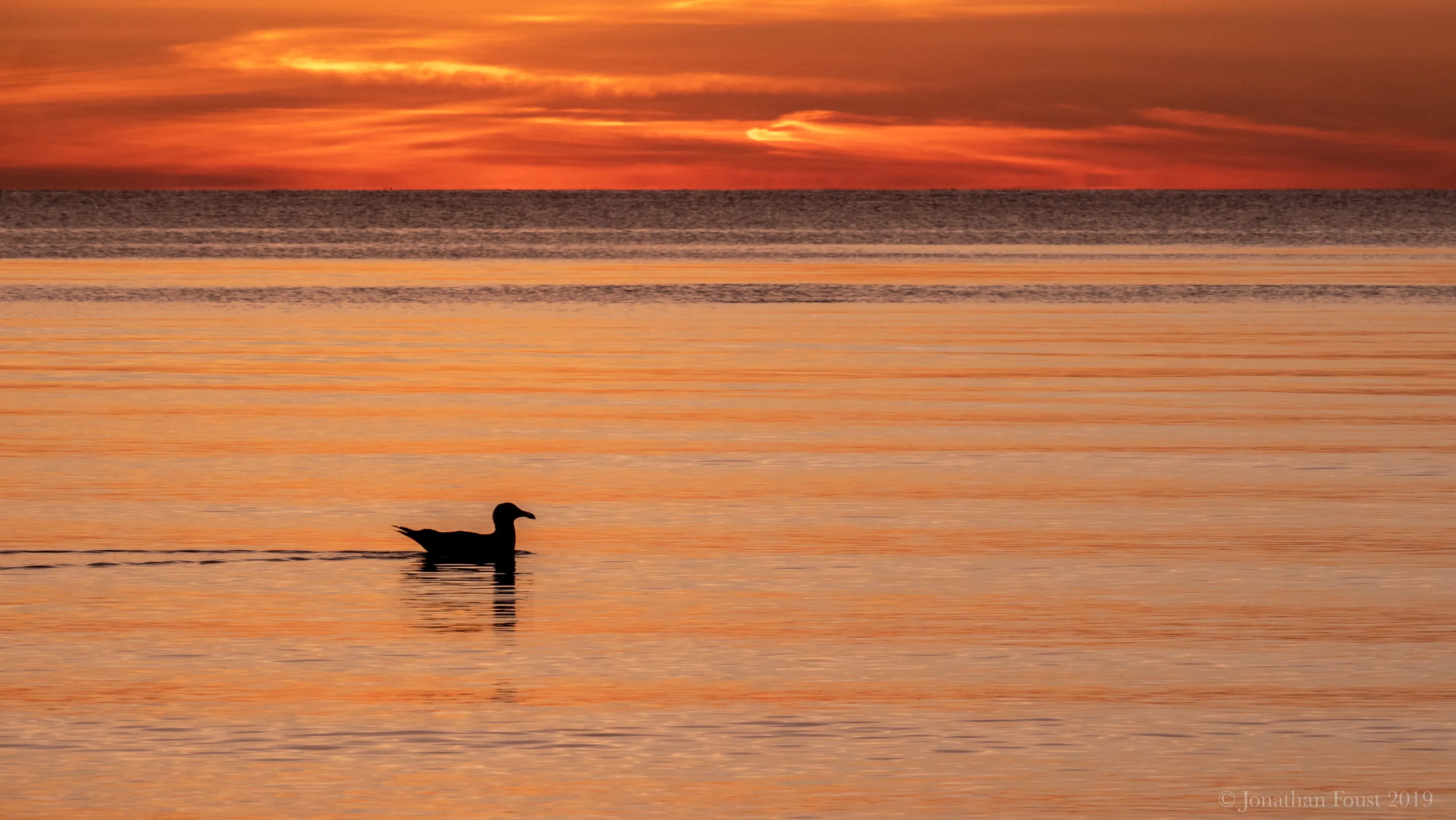 Heeding the Call to Inner and Outer Peace  (Retreat Talk)