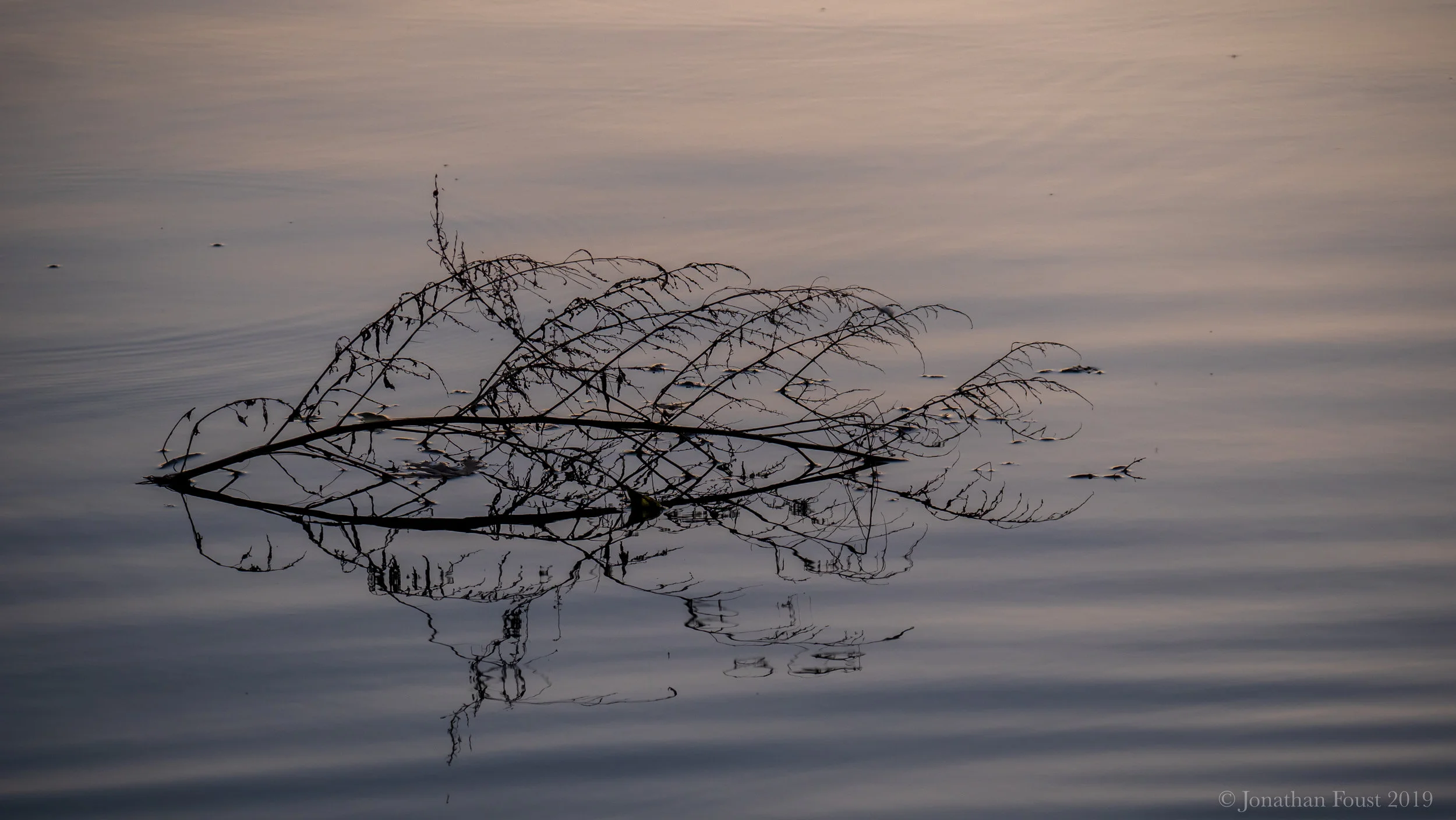 Meditation: Embodying Gratitude  (Retreat Meditation)