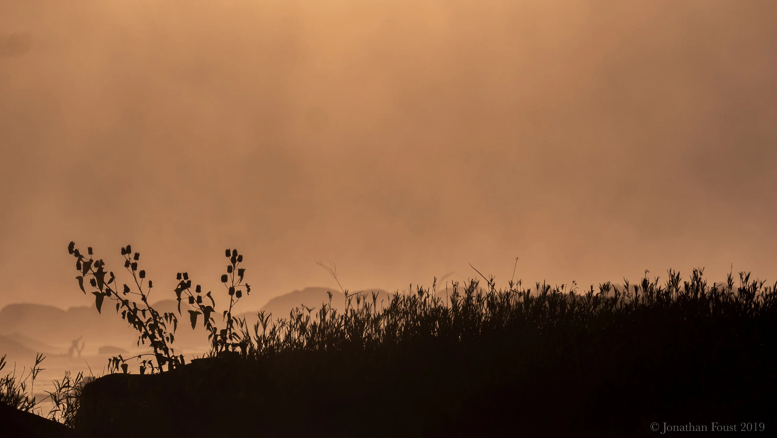The Four Foundations of Presence