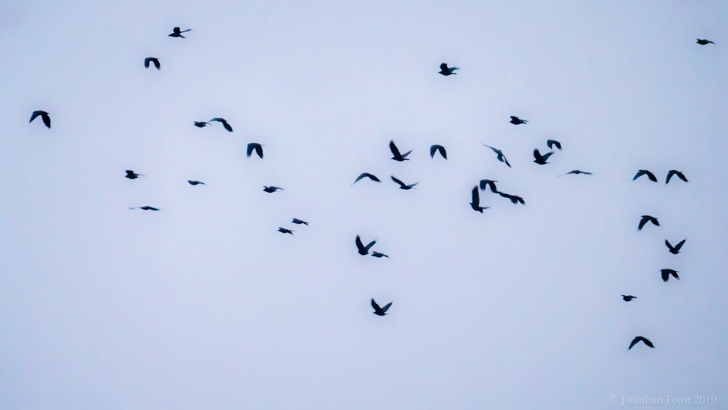 The Art of Feeling Your Feelings