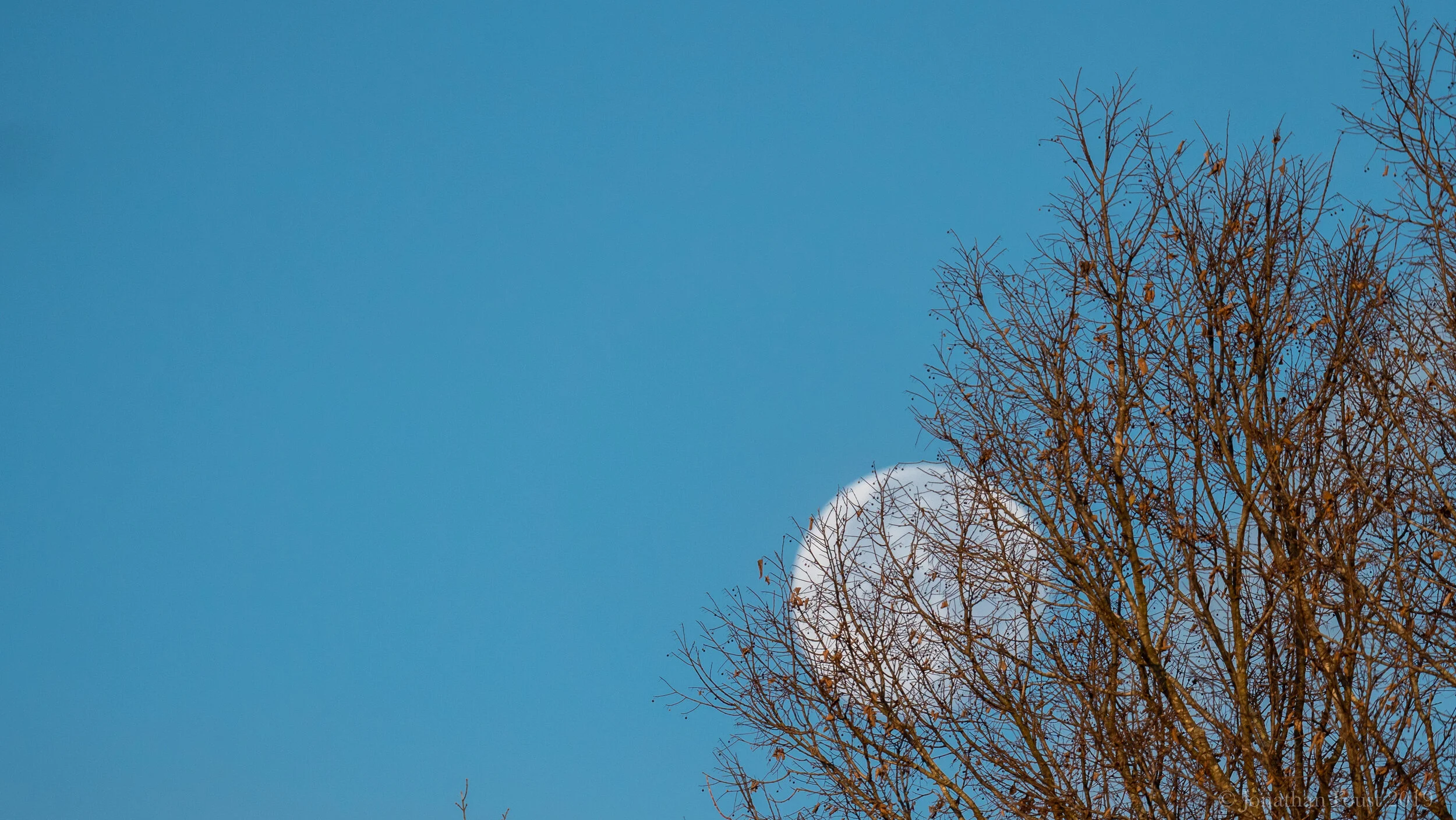 Meditation: Opening into the Space of Loving Presence (Retreat Meditation)