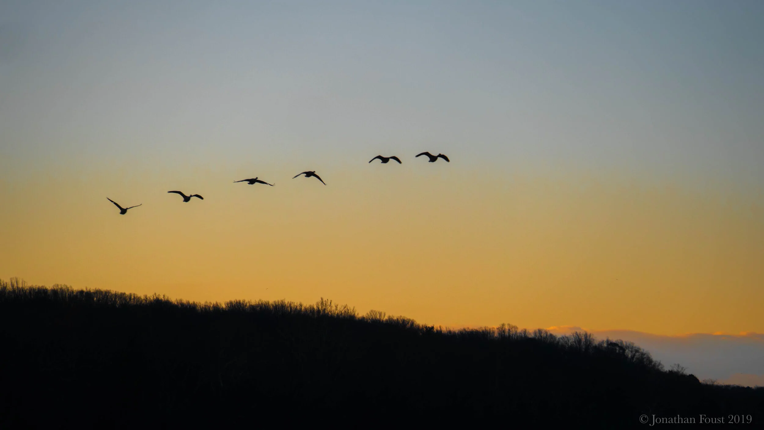 How to Increase Your Capacity for Bliss