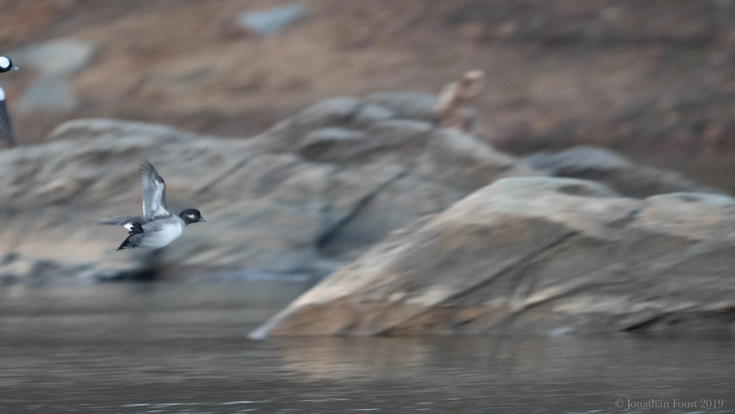 To Live a Life of No Regrets 