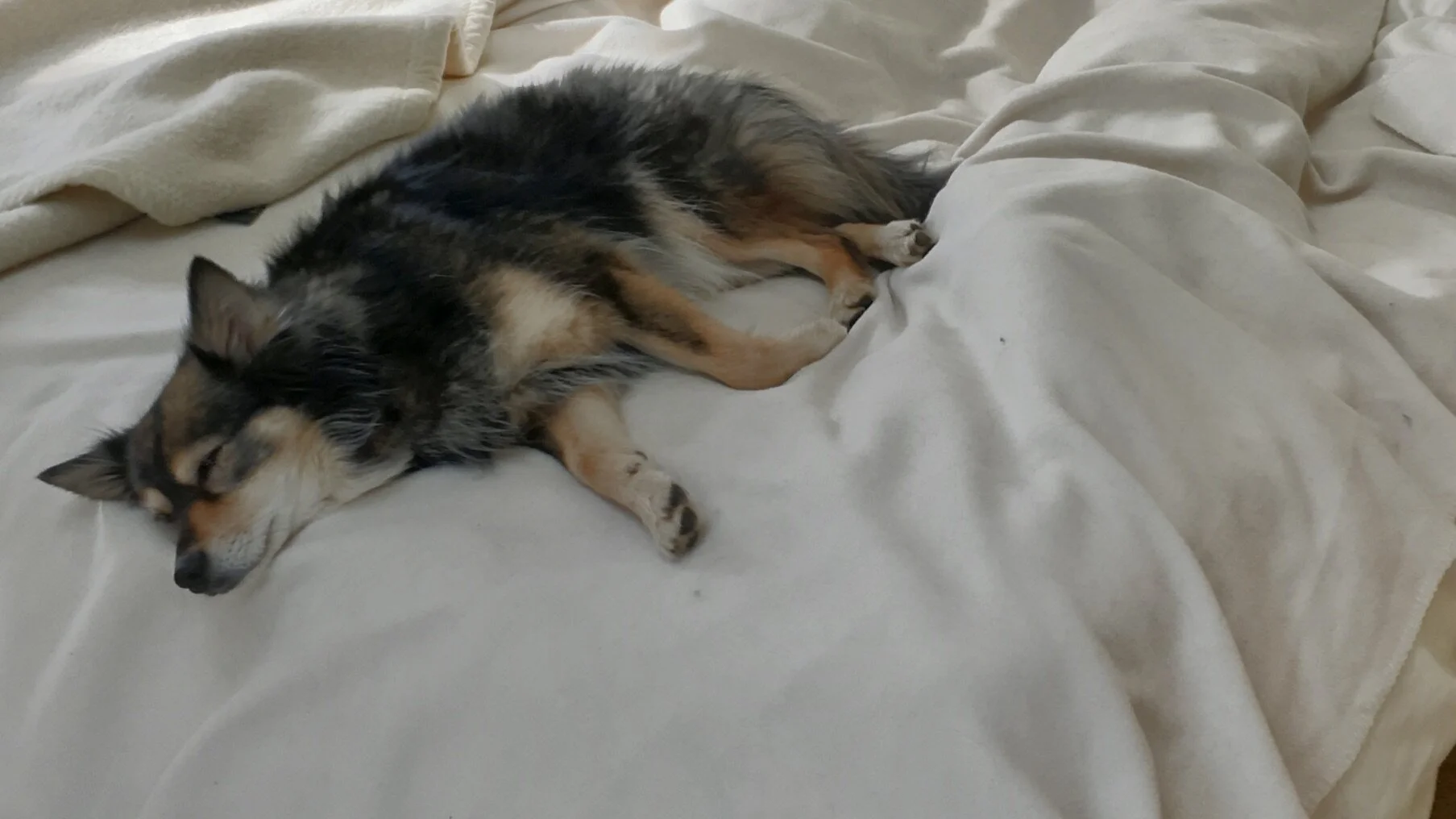 Falling Asleep:  Guided Sleep Meditation with Autogenic Training