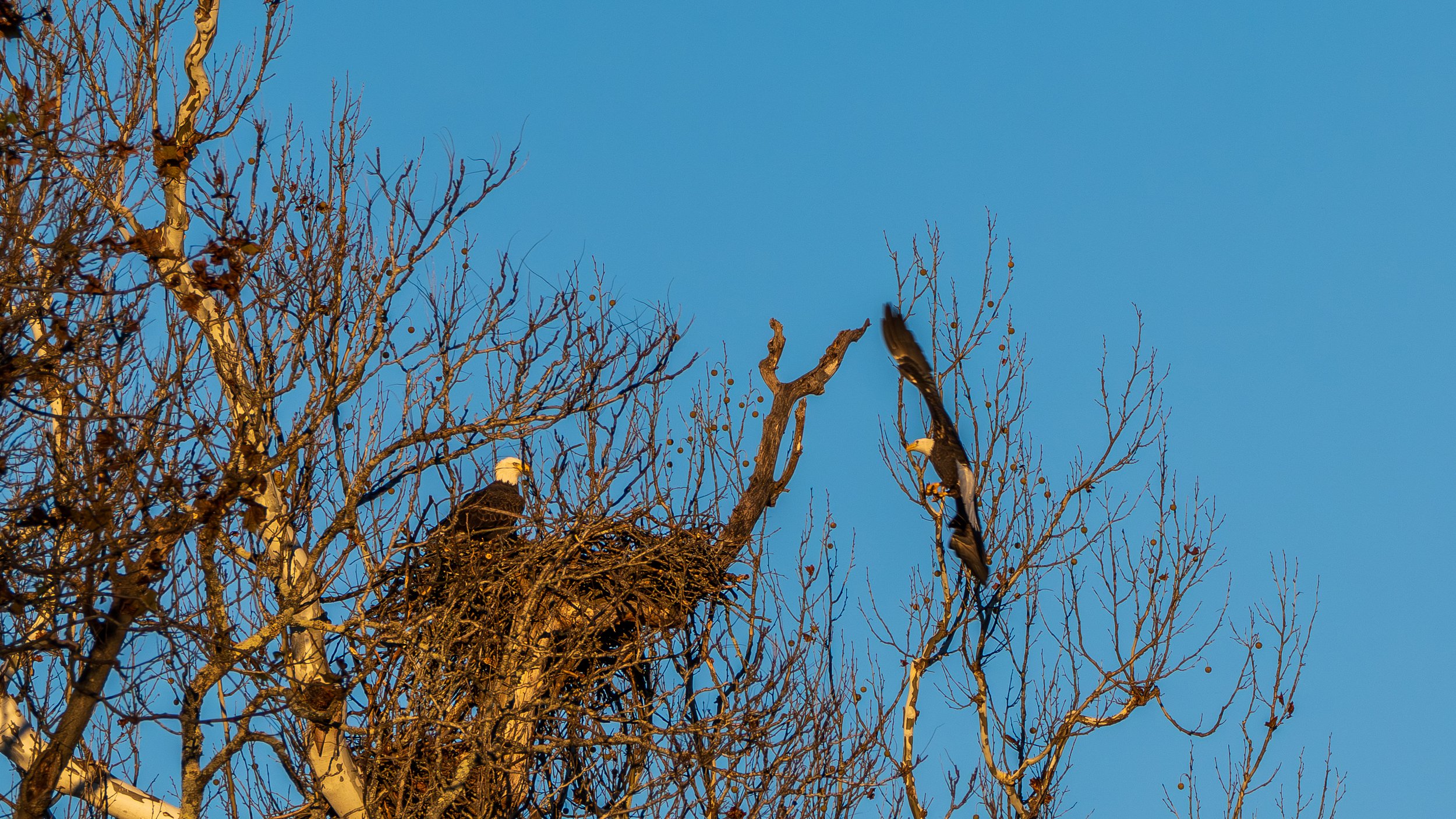 The Eightfold Path 4: Understanding Right Action and the Ethics of Everday Life