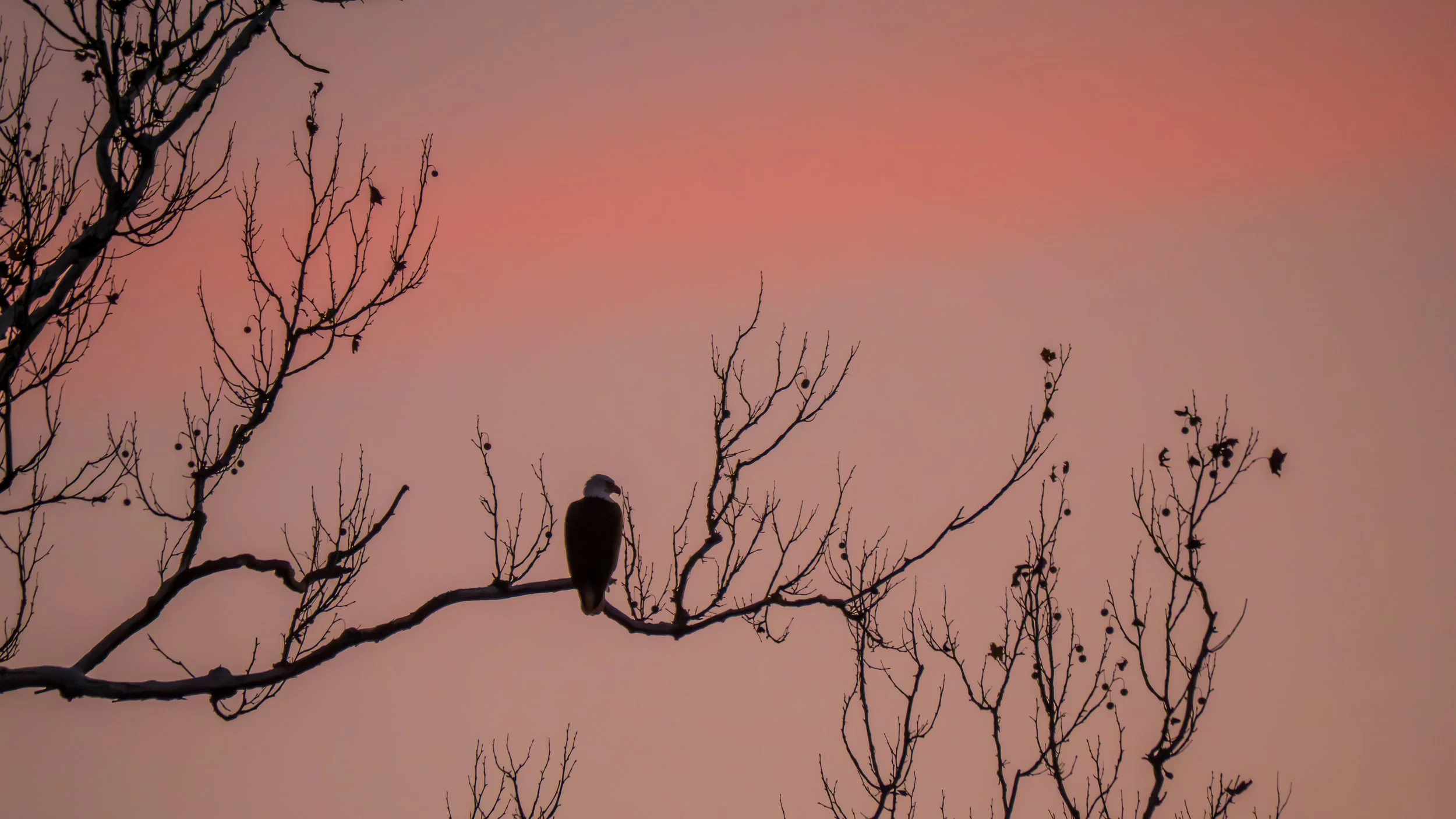Four Phrases That Heal:  Loving the Unlovable [archive talk]