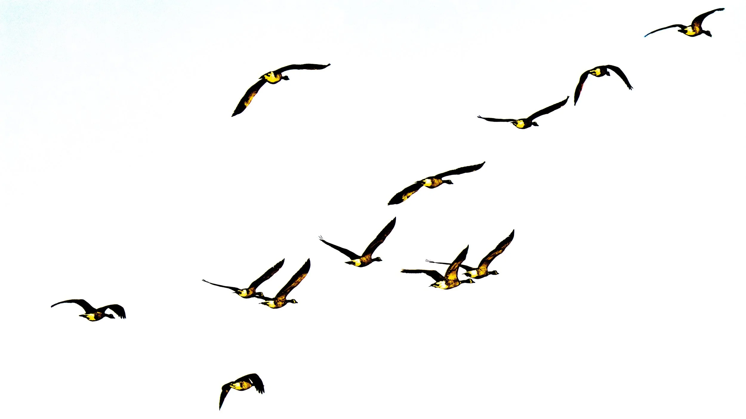 Seeing Clearly:  Insight and the Path of Liberation