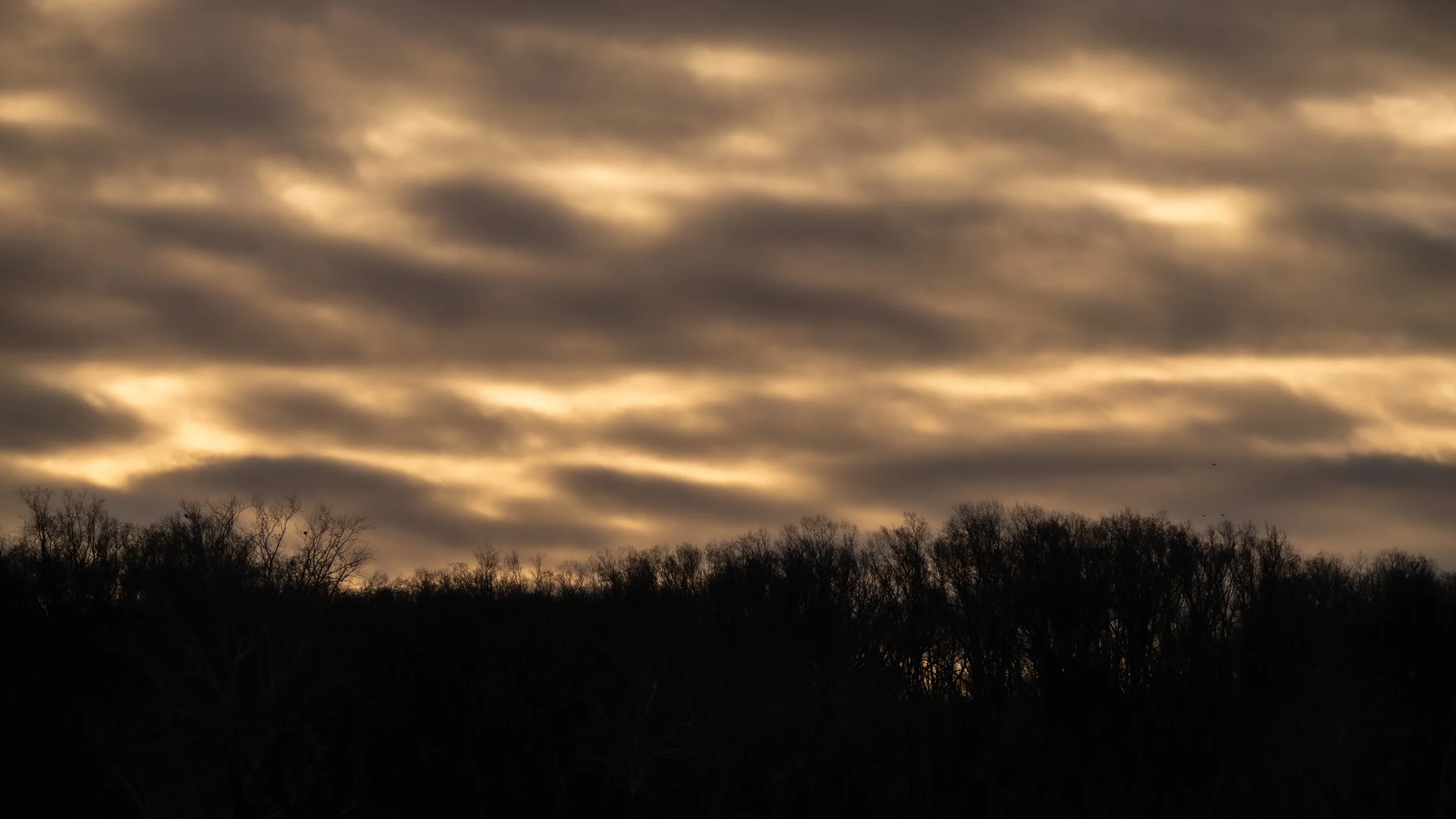 How to Surf the Waves of Uncertainty, Part 1:  Practices for Cultivating Steadiness [archive talk]