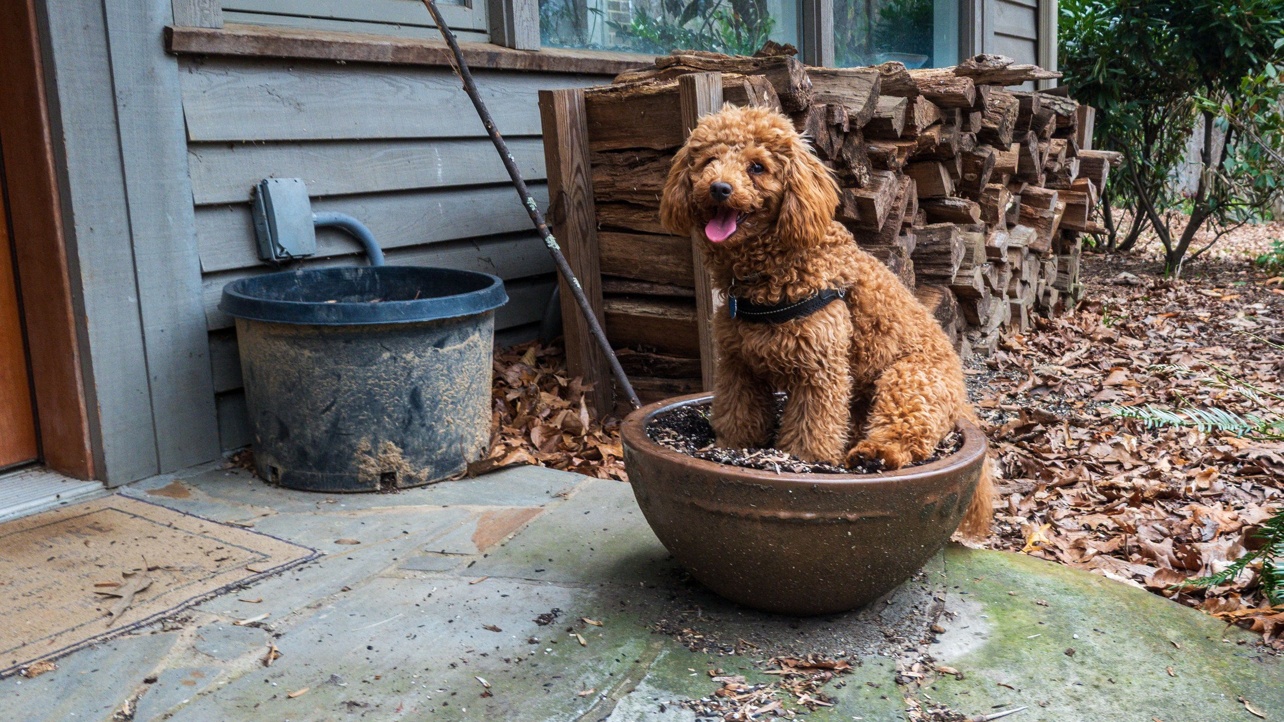 The Illusion of Self:  How Mindfulness Reveals True Freedom [archive talk]
