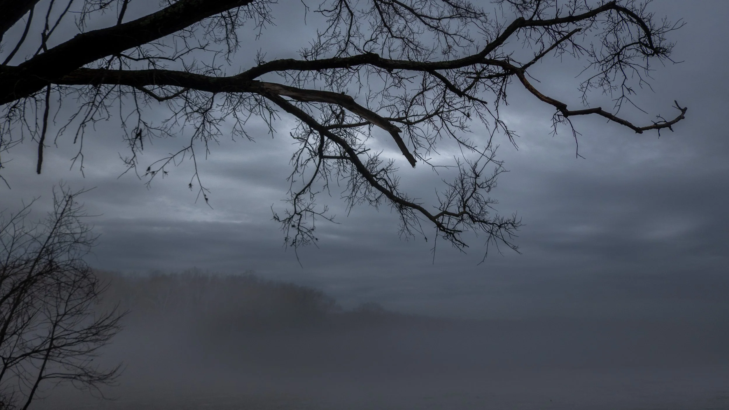 Beyond the Witness:  From Watching to Being [archive talk]