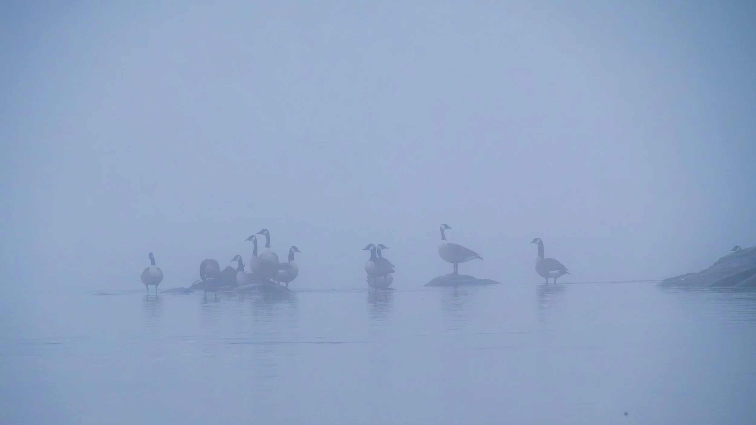 The Alchemy of Difficulty: Turning Reactivity into Freedom (Retreat Talk #2)