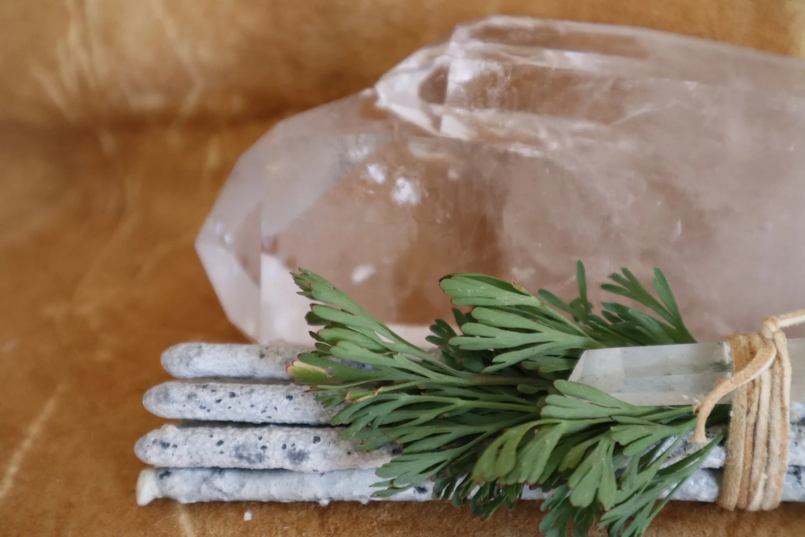 0A4B62A6-89A0-4FBB-8E8F-0EB6CA03DED0