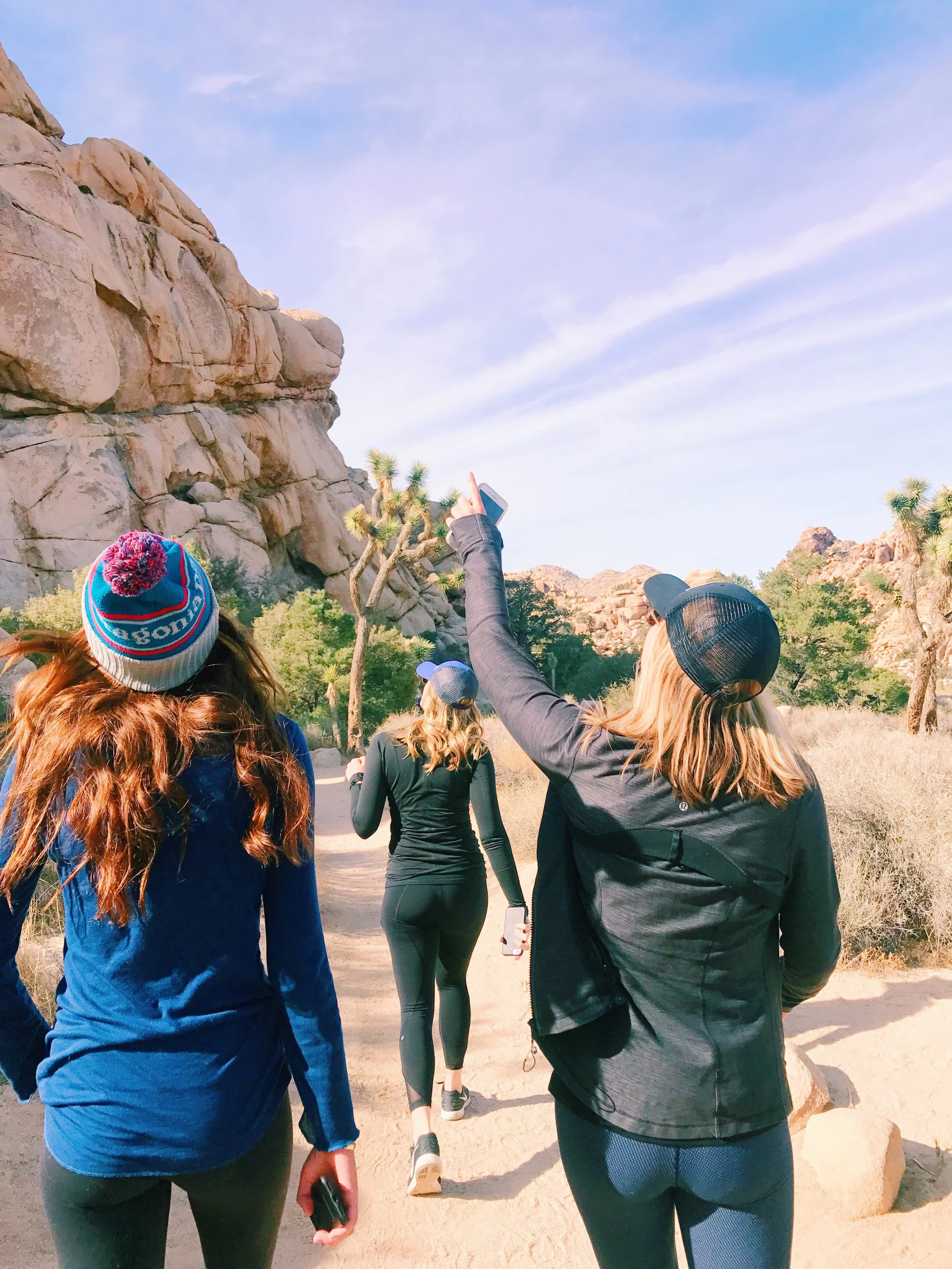 Joshua Tree Guide
