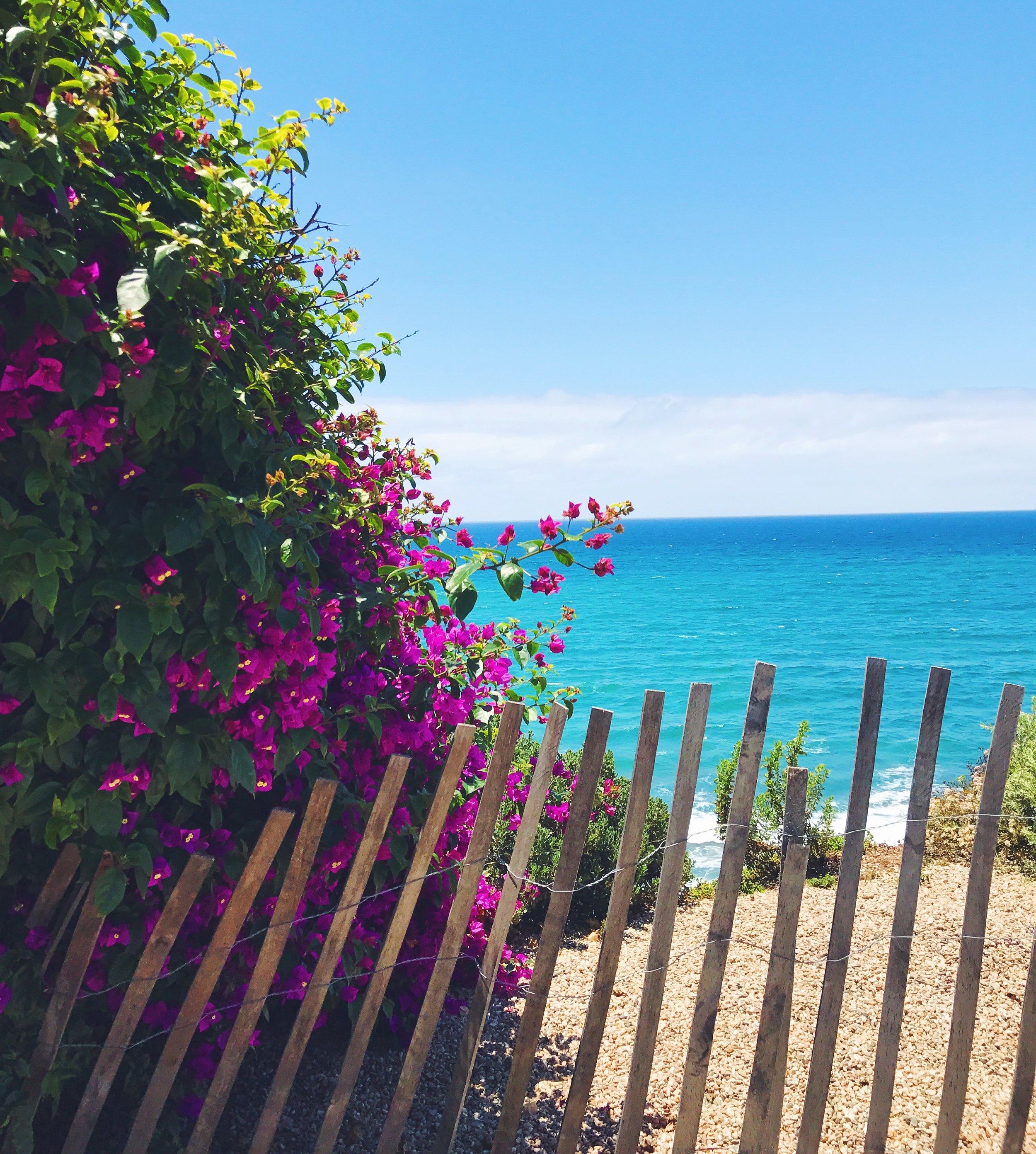 Locals Only: South Bay of LA Brunch Guide