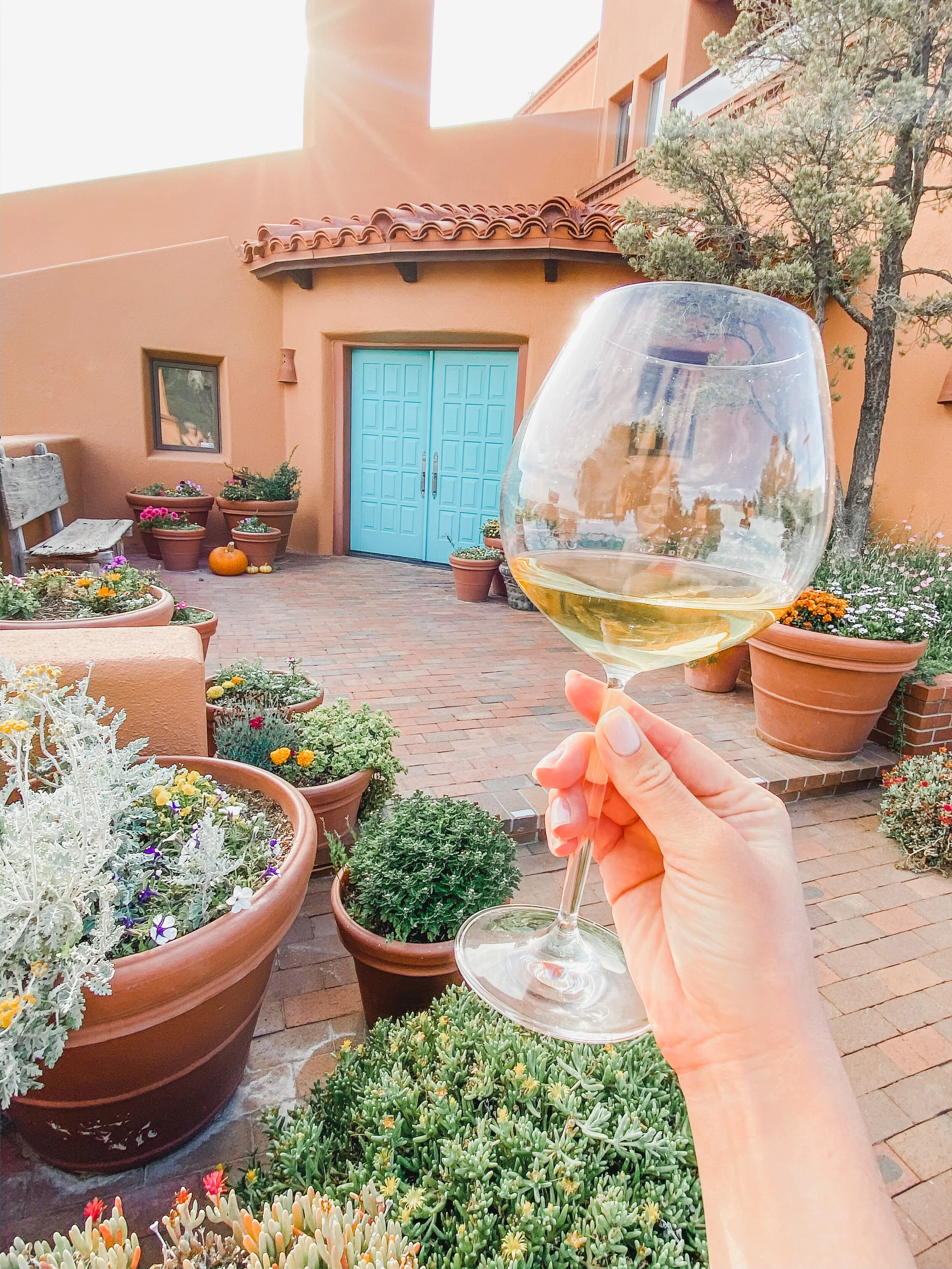 Wine School Ep.1: French Chardonnays