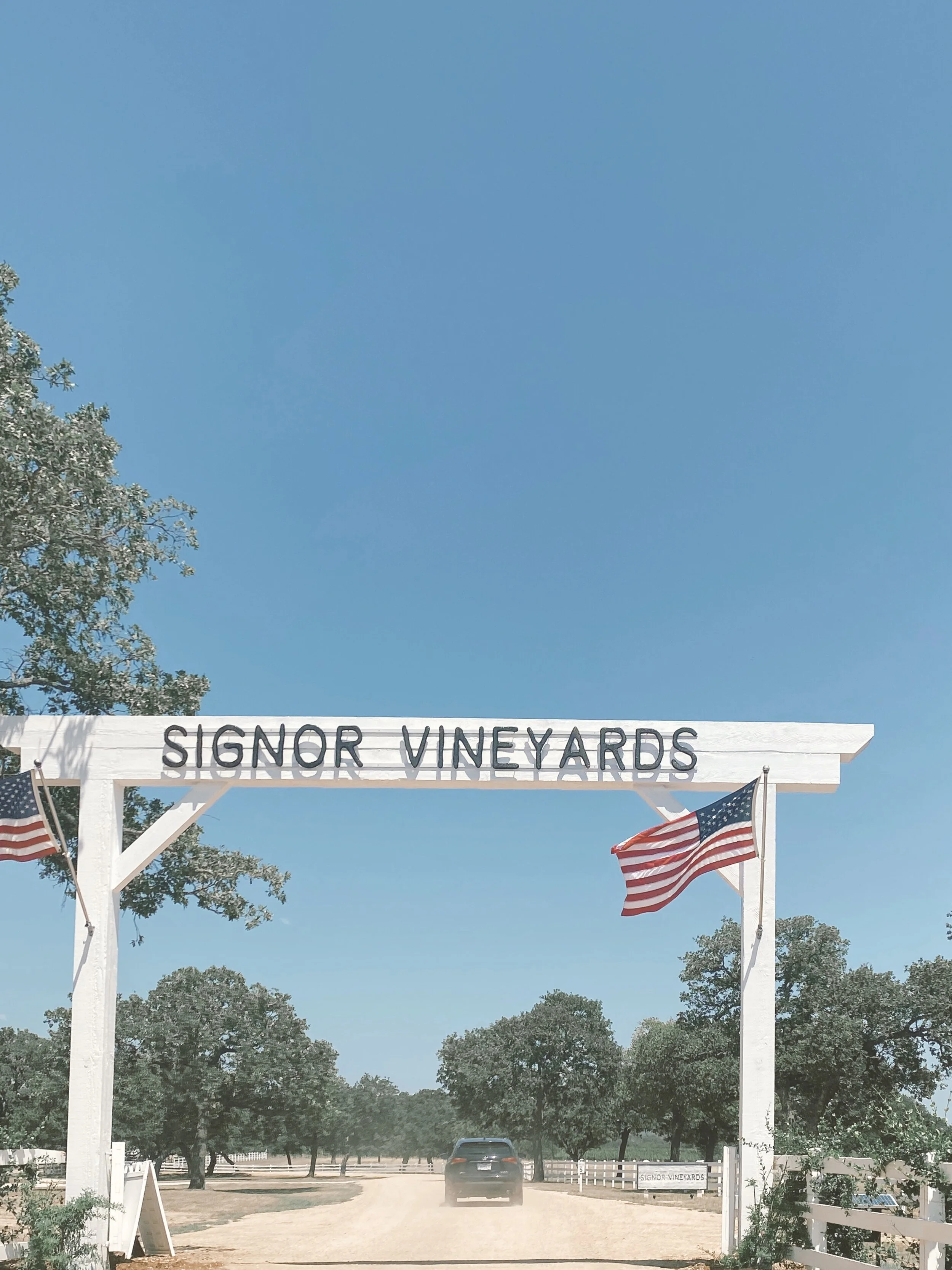 Texas Wine Country: Where To Go With One Afternoon in Fredericksburg