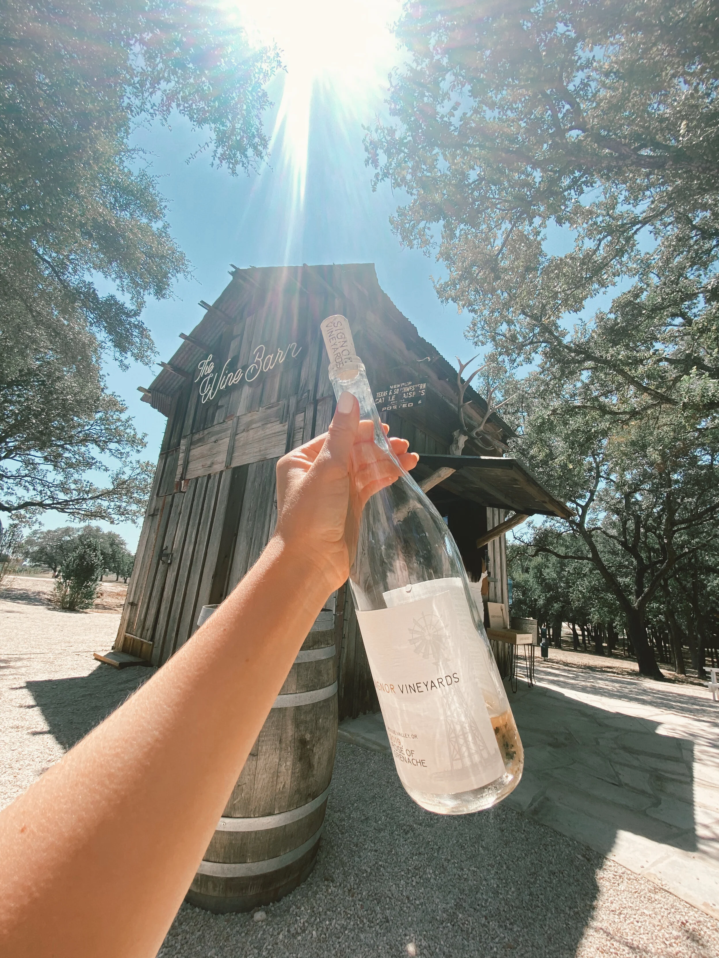 Best of Fredericksburg Wineries: Highly Recommended List Compilation