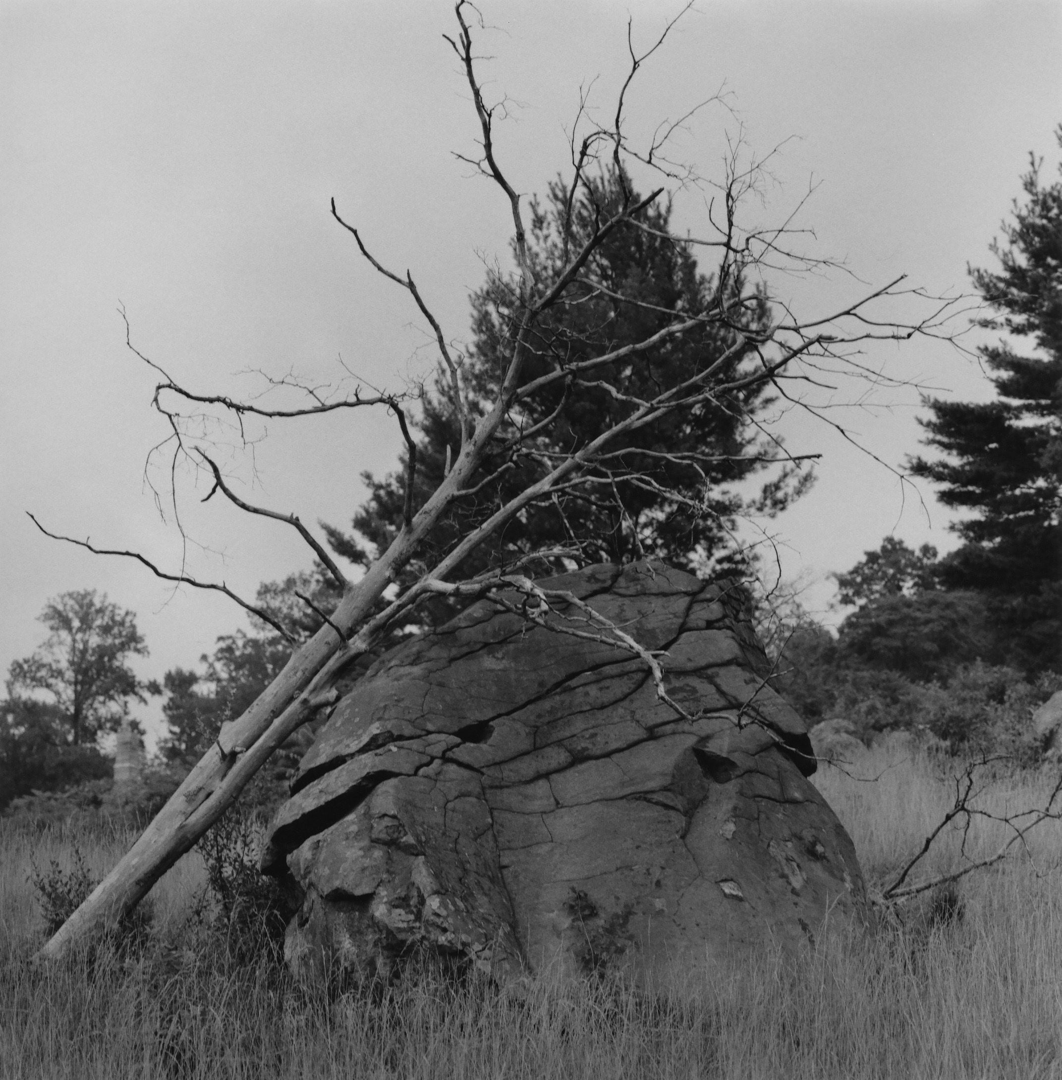 Dead Tree and Boulder, Gettysburg, Pennsylvania, 1986
