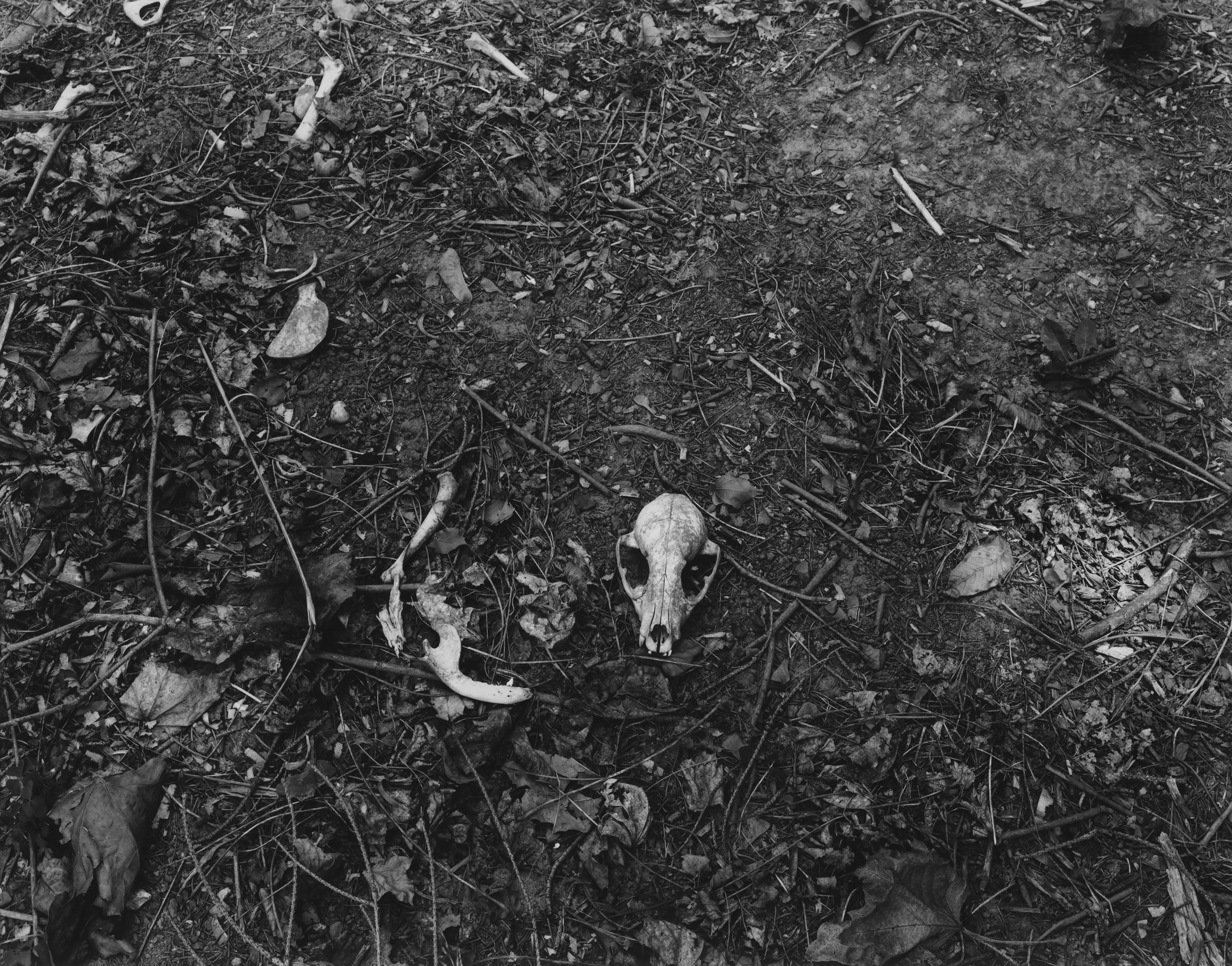 Farm Detail East Cavalry Battefield, Gettysburg, Pennsylvania, 1991