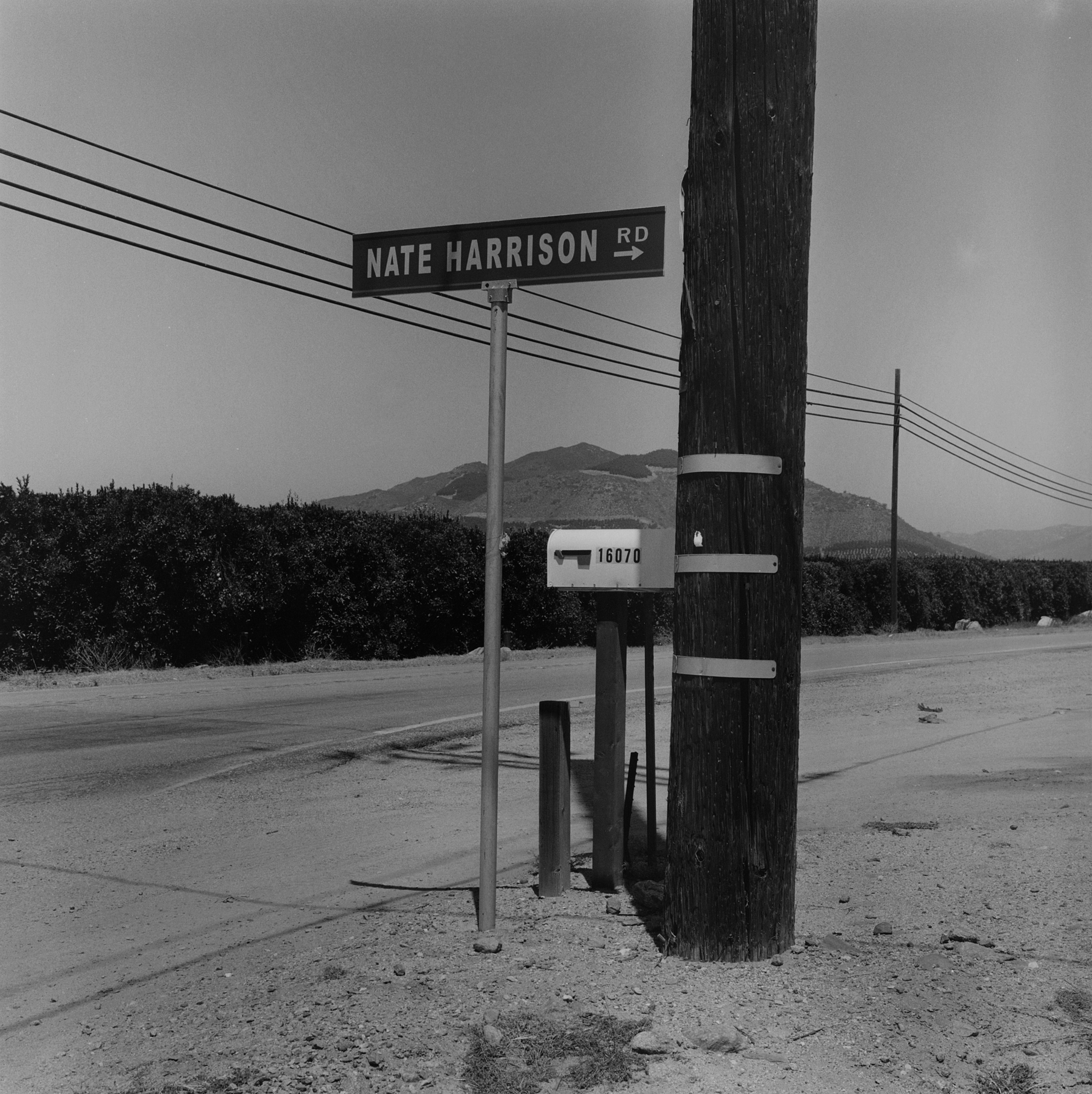 Nate Harrison Road, San Diego, California, 2014