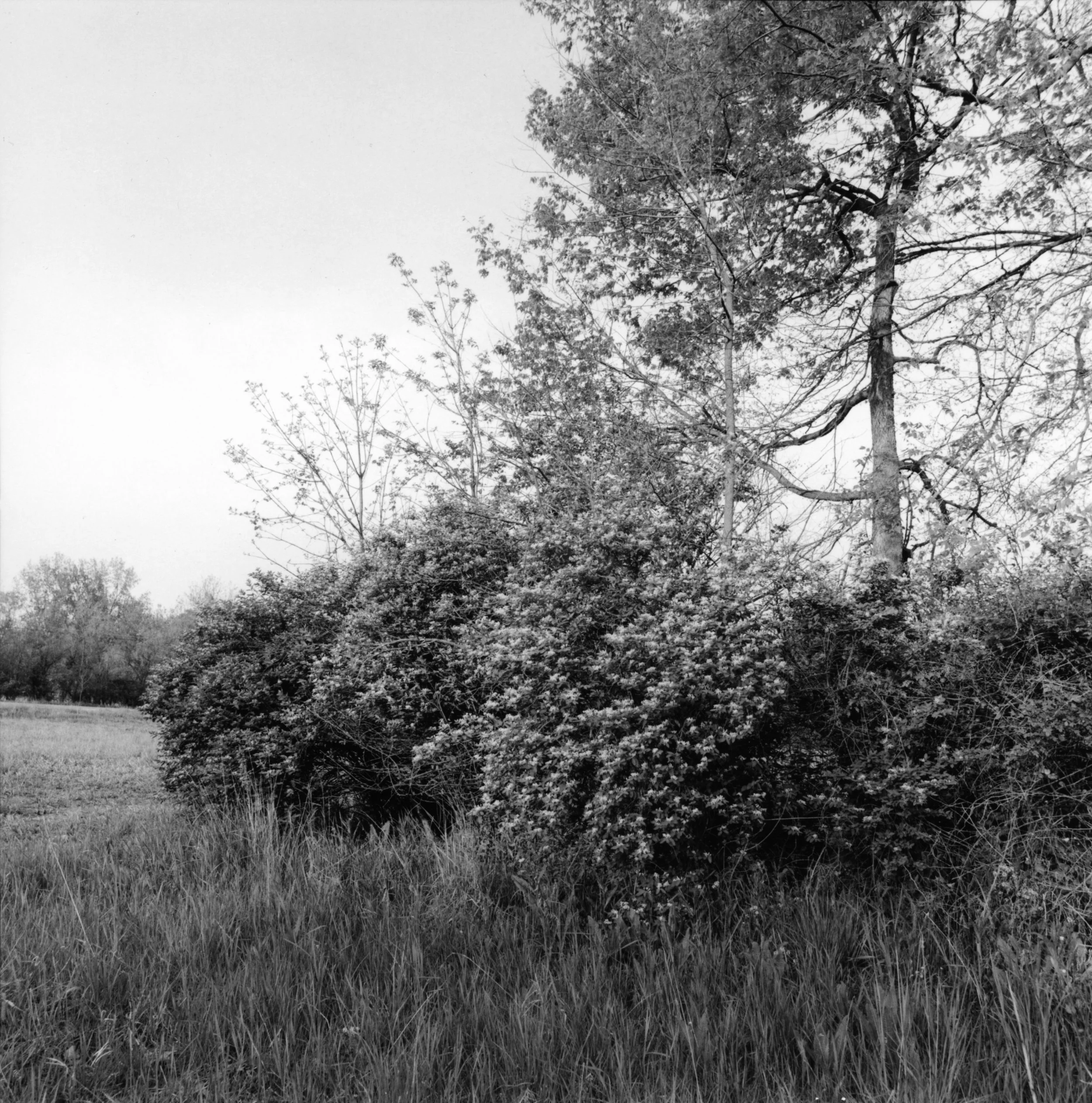 Camp Delaware, Delaware, Ohio, 1995