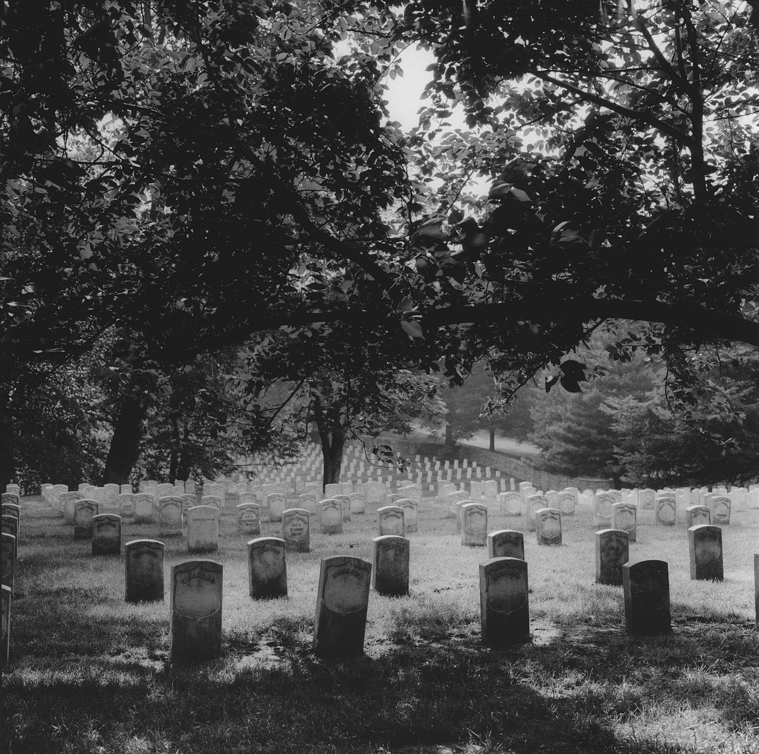 Arlington National Cemetery, Section 27, Arlington, Virginia, 2000
