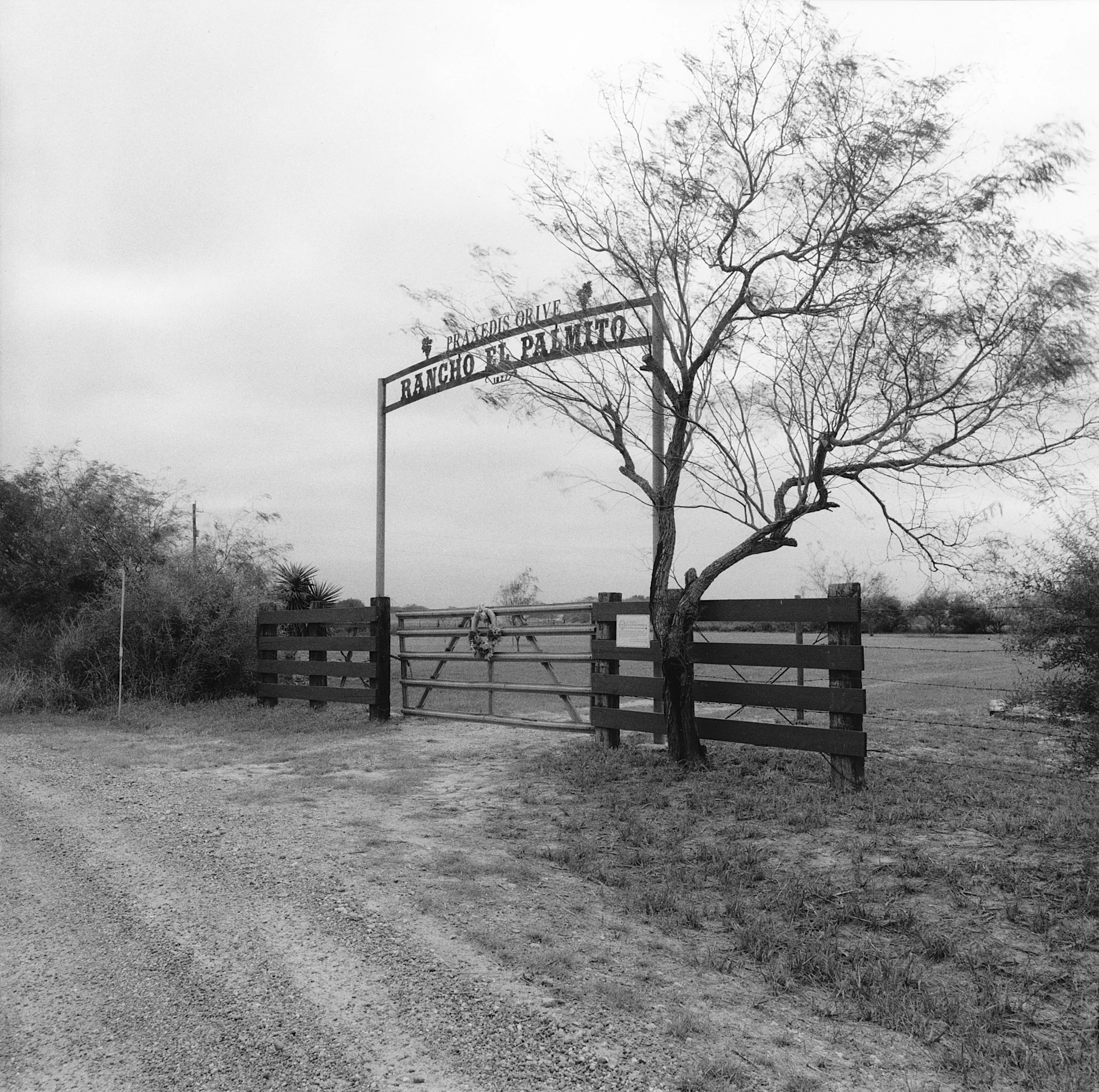 Palmetto Ranch Gate, Texas, 2001