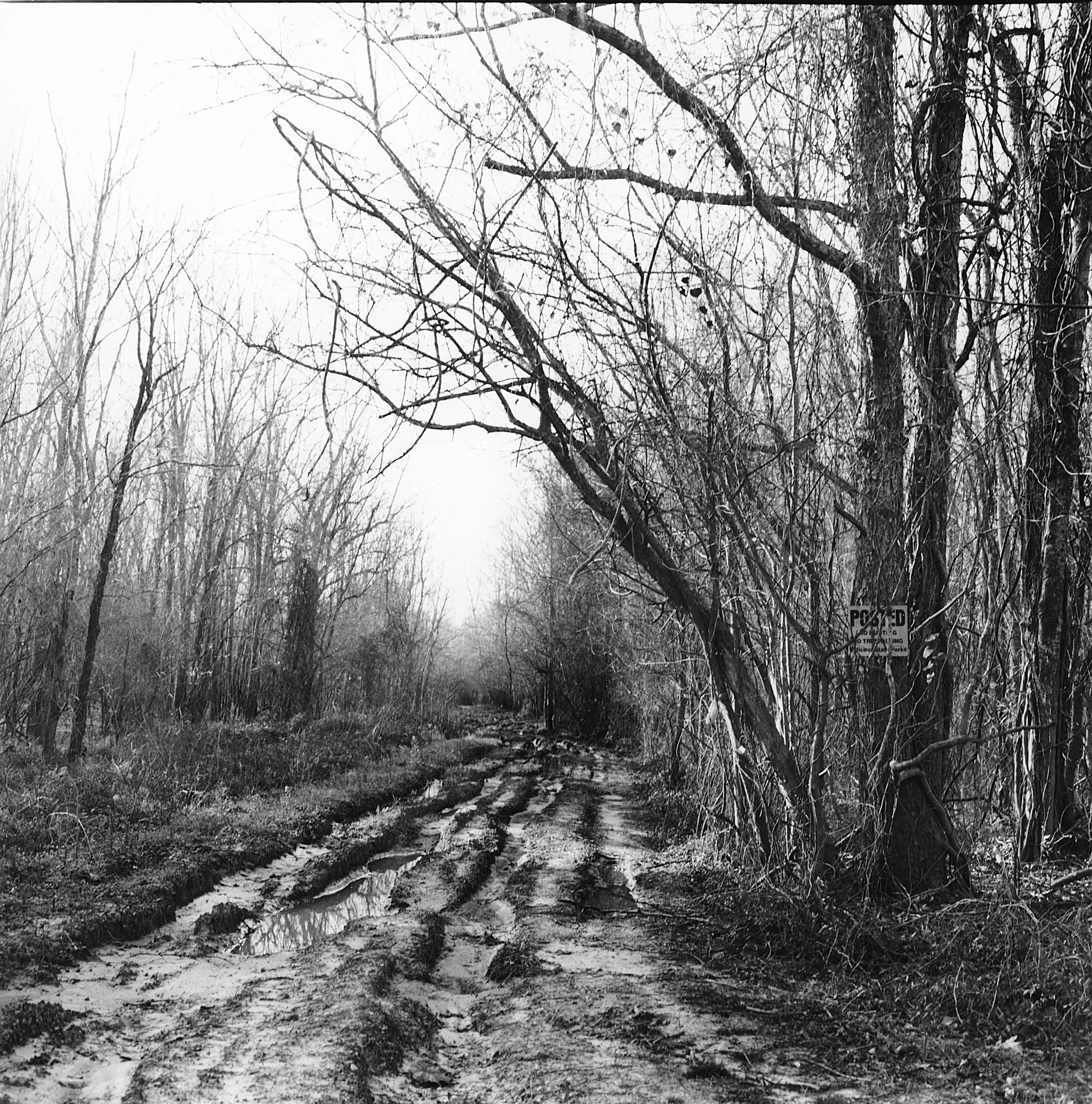 Port Hudson, Telegraph Road, 2004