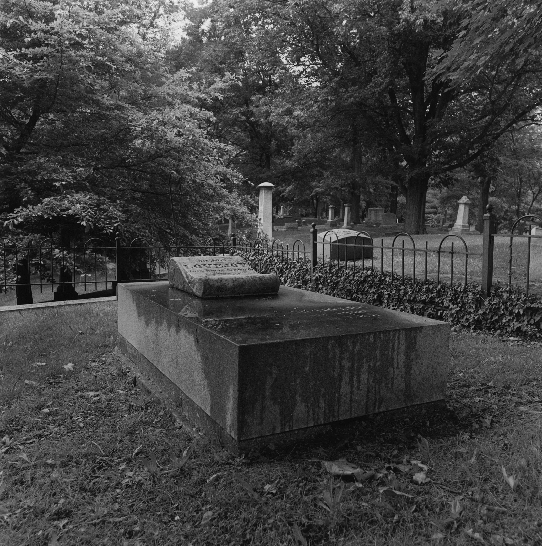 LoveJoy Grave, City Cemetery, Alton, Illinois, 2010