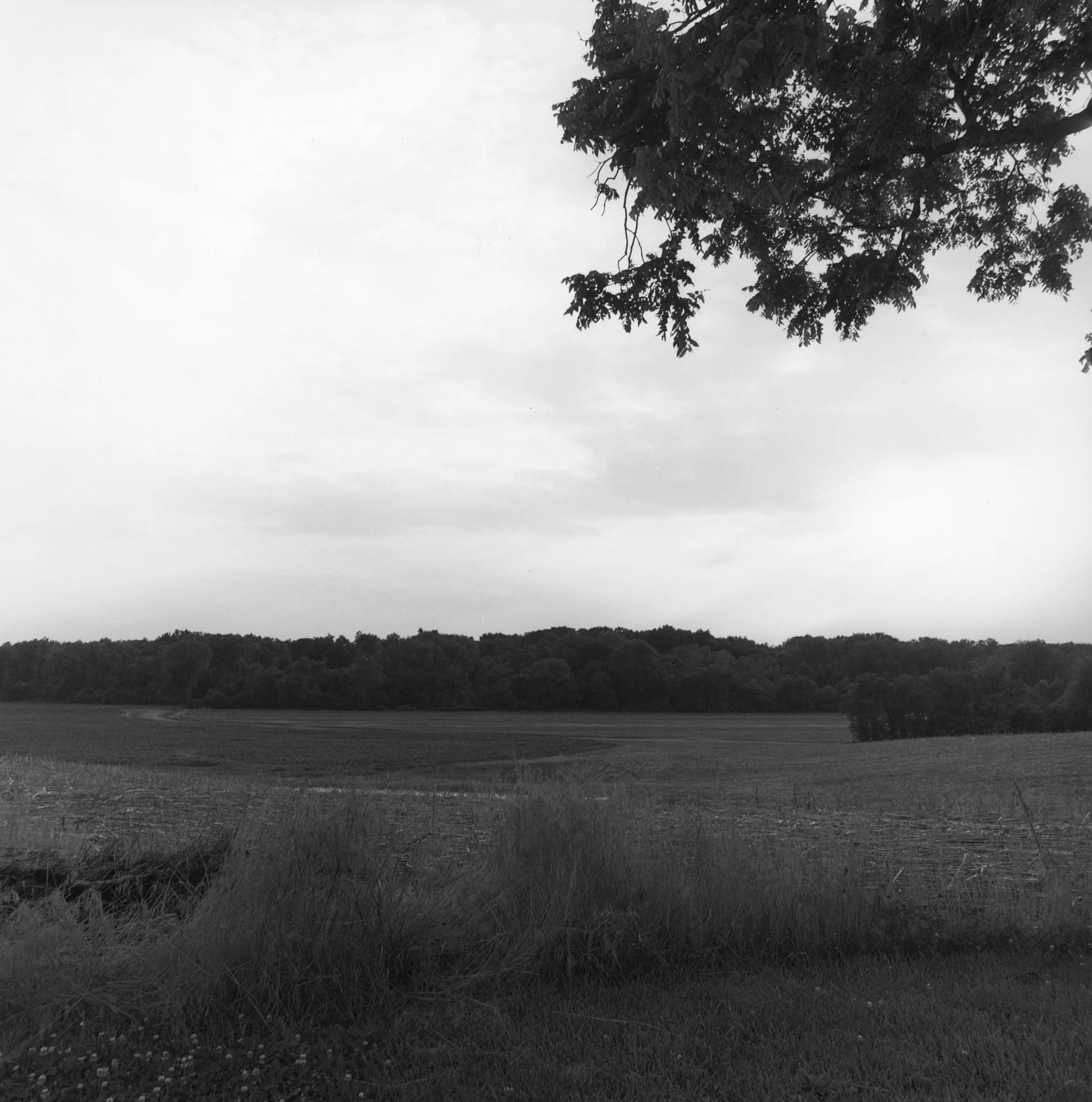 Johnson Family Farm Field, Alton, Illinois, 2010