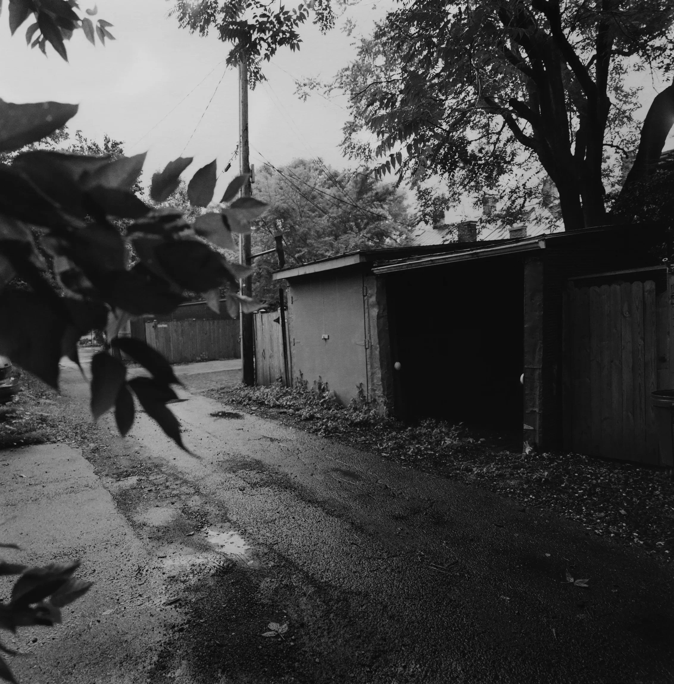Alley, from the rear of Franklin and Armfield Slave Traders, Alexandria, Virginia, 2004