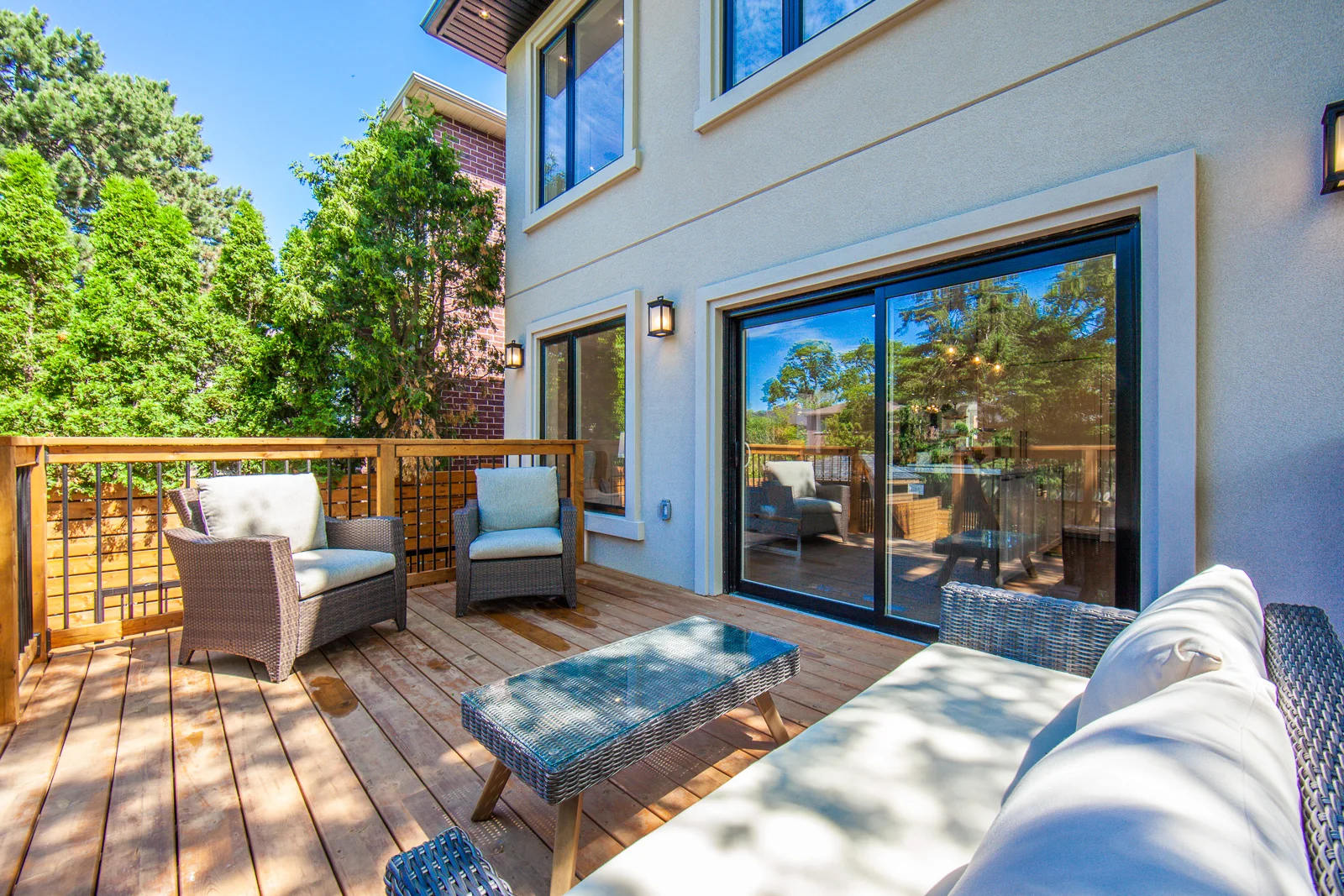 backyard 1.jpg