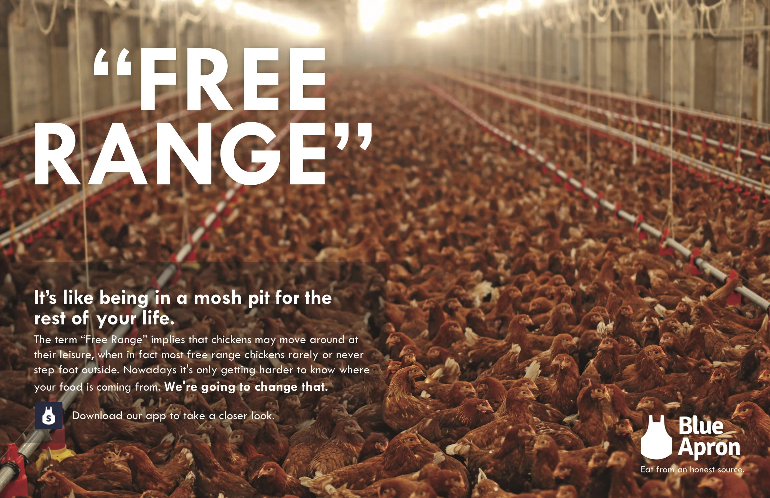 BLUE APRON FINALE2.jpg