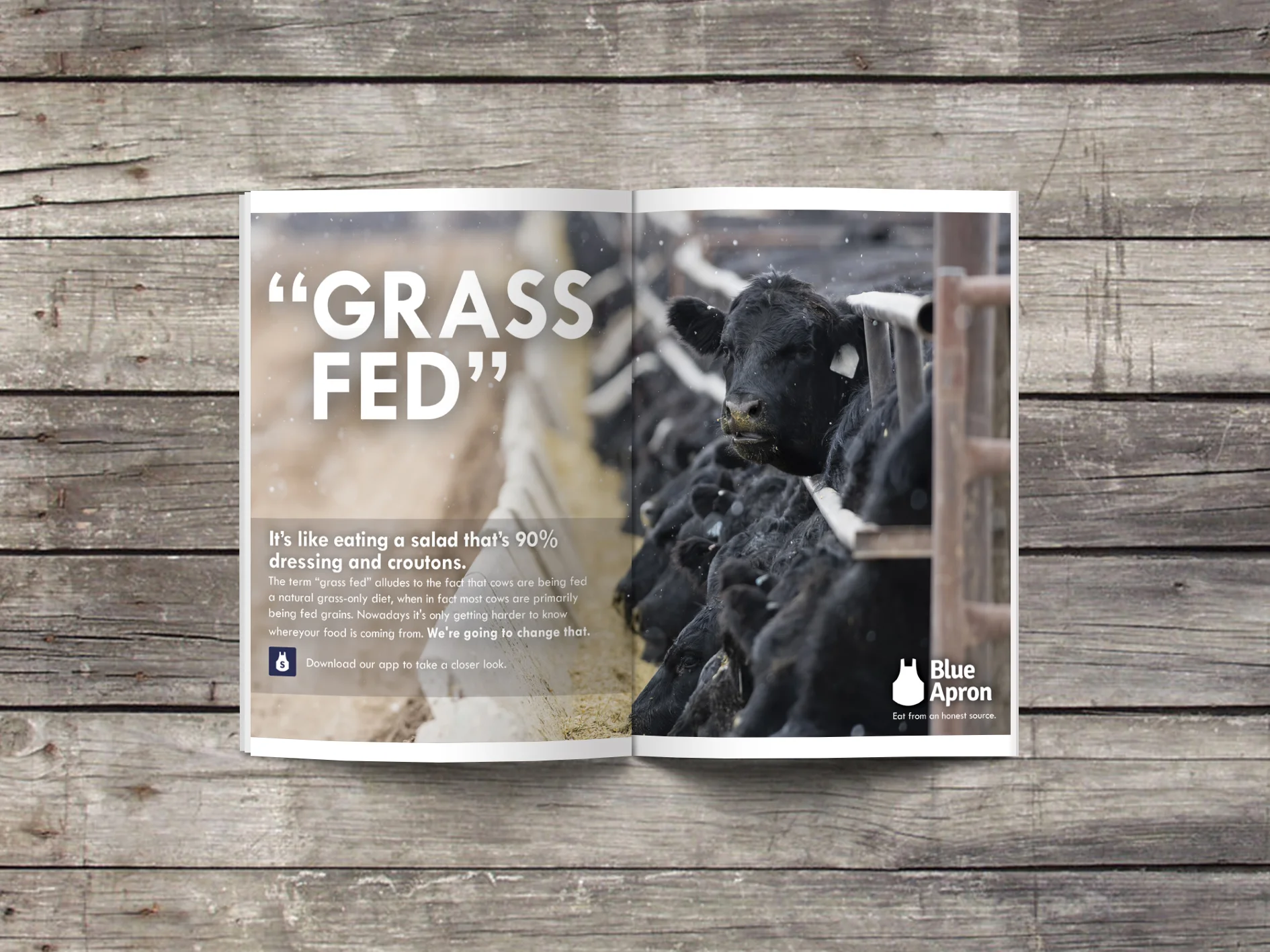 grassfedfinal.jpg