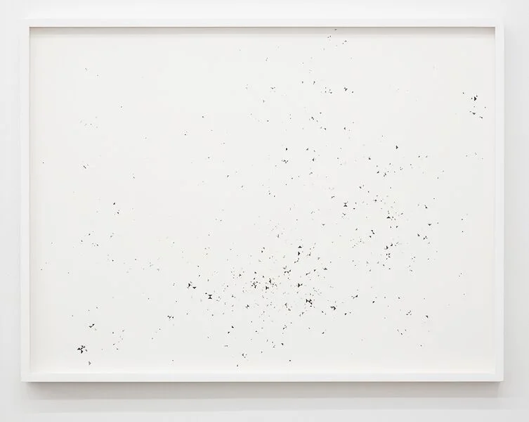 Vanessa Blake, Untitled (First Constellation I) , 2012, Gouache on paper, 23 x 30.5 in
