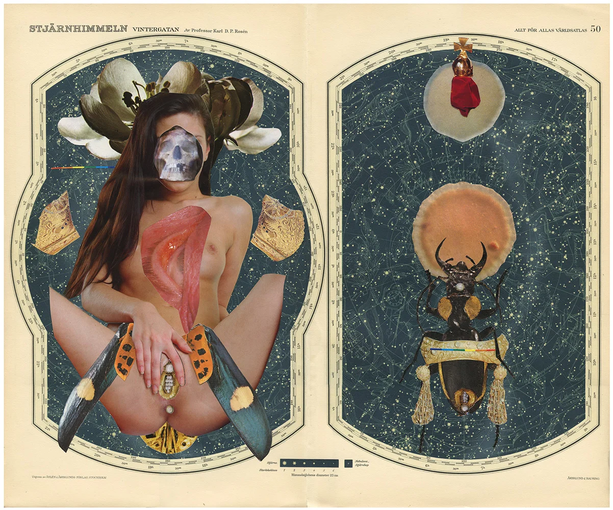 King of worms - The Divine 1, 2015, hand-cut collage on found image, 15 x 18 in